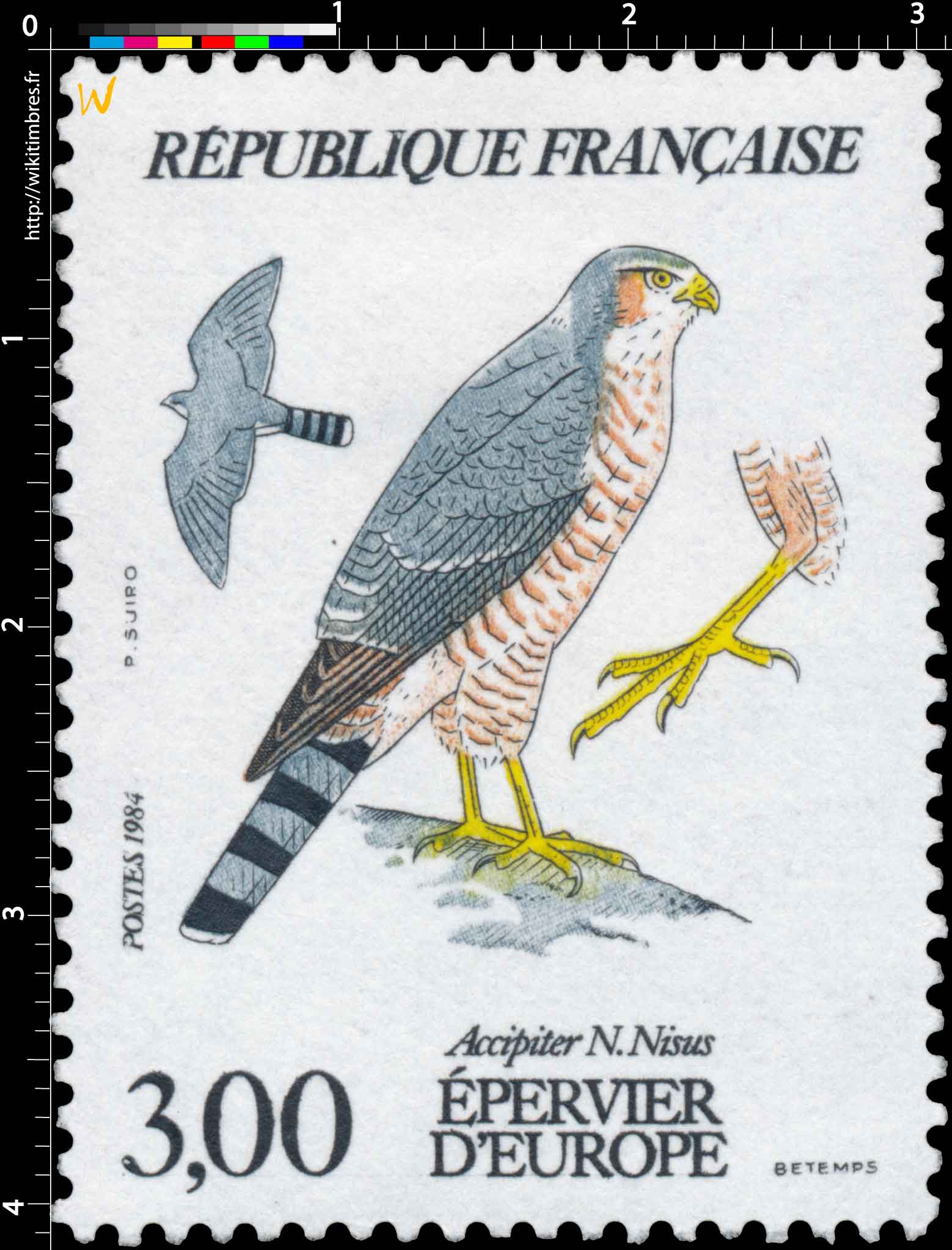 1984 ÉPERVIER D'EUROPE Accipiter N. Nisus