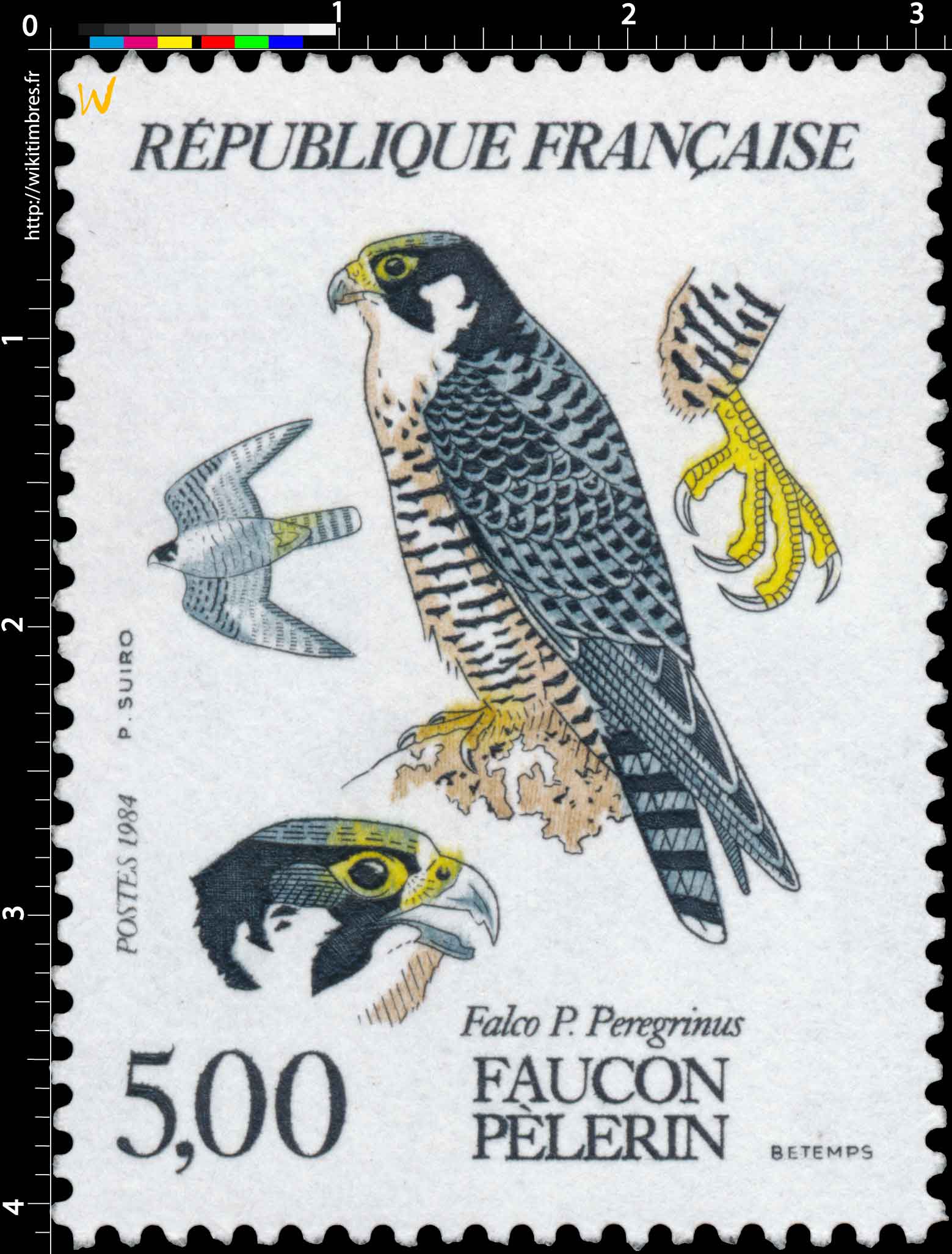 1984 FAUCON PÈLERIN Falco P. Peregrinus