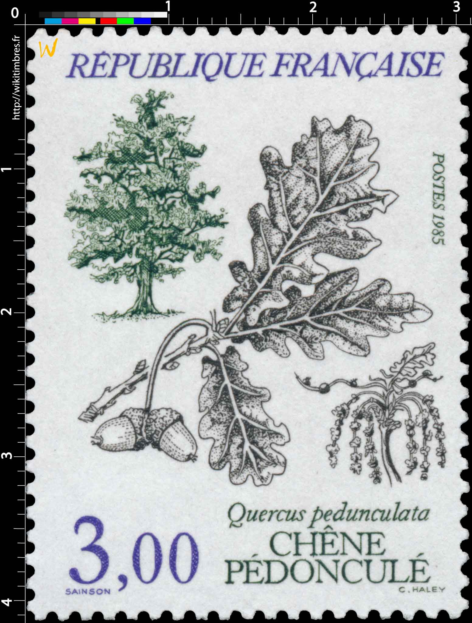 1985 CHÊNE PÉDONCULÉ Quercus pedunculata