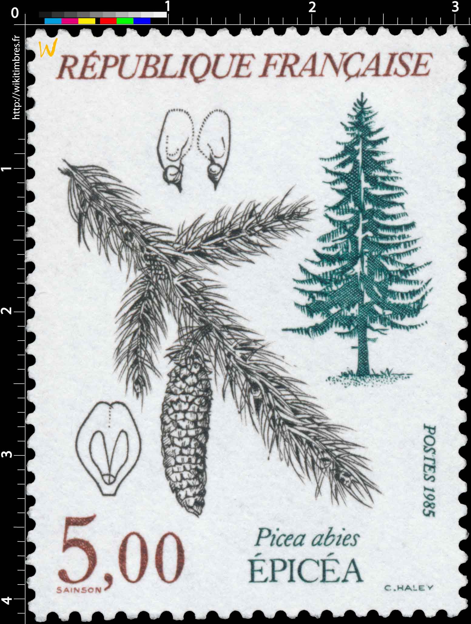 1985 ÉPICÉA Picea abies