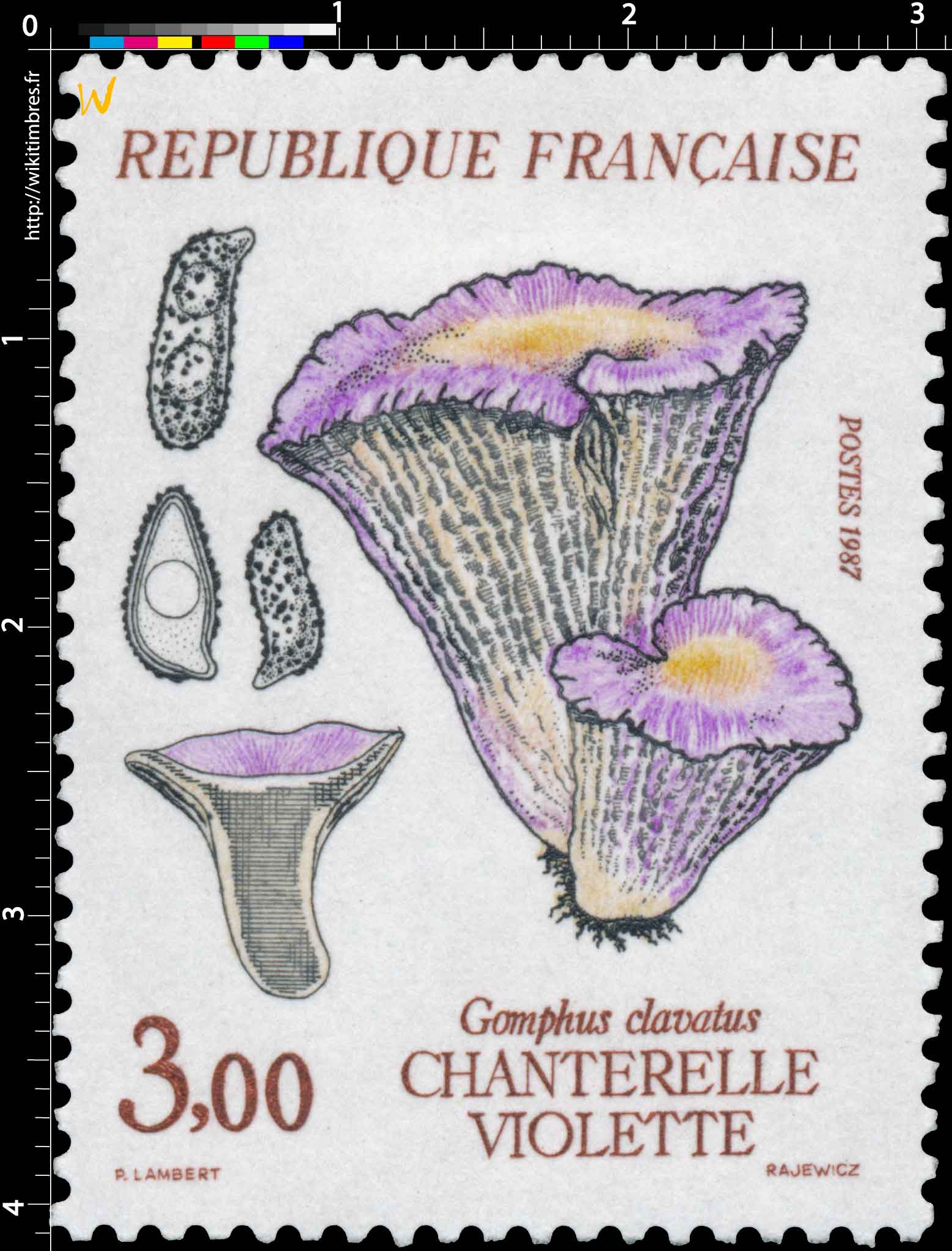1987 CHANTERELLE VIOLETTE Gomphus clavatus