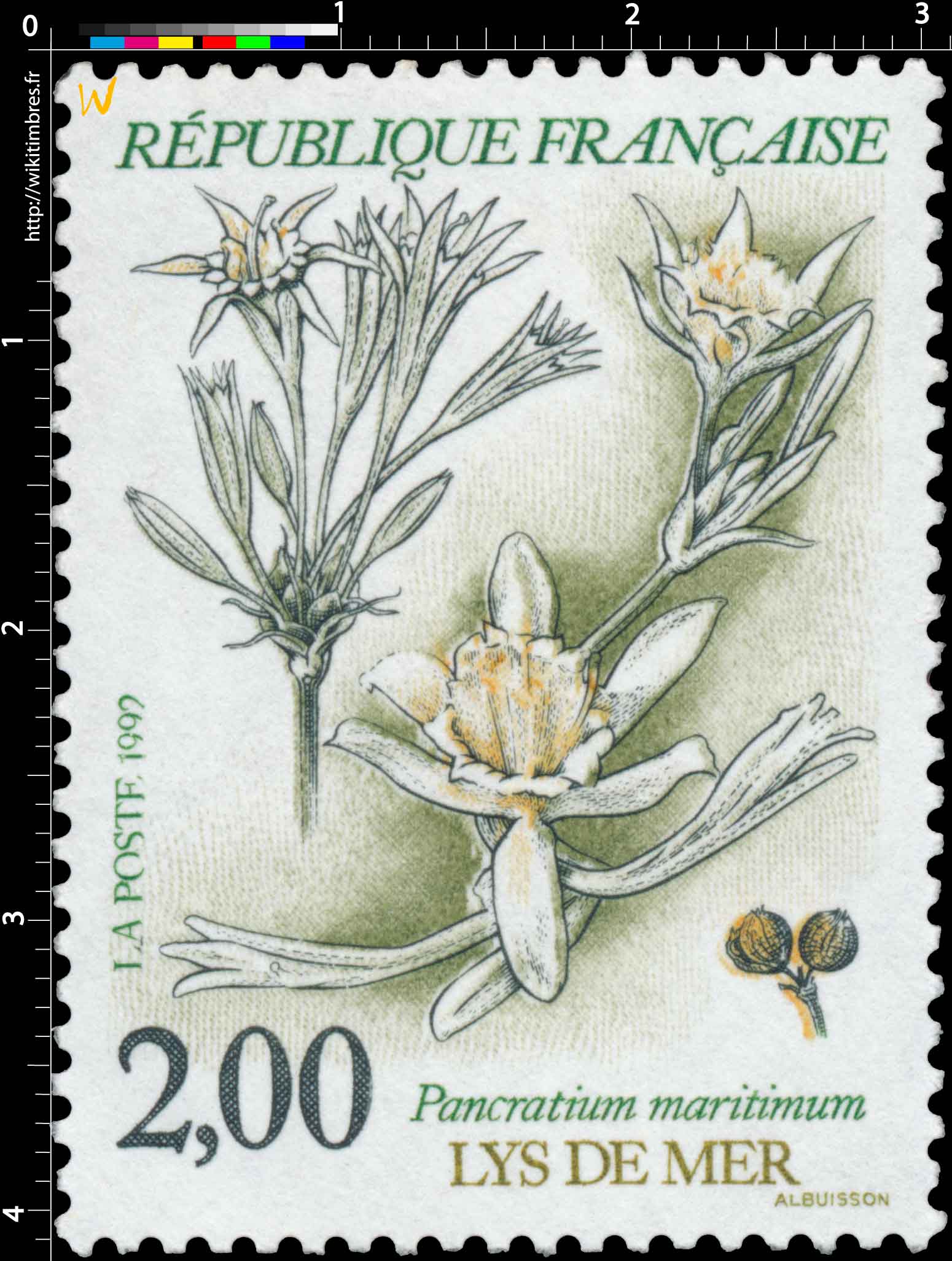 1992 LYS DE MER Pancratium maritimum