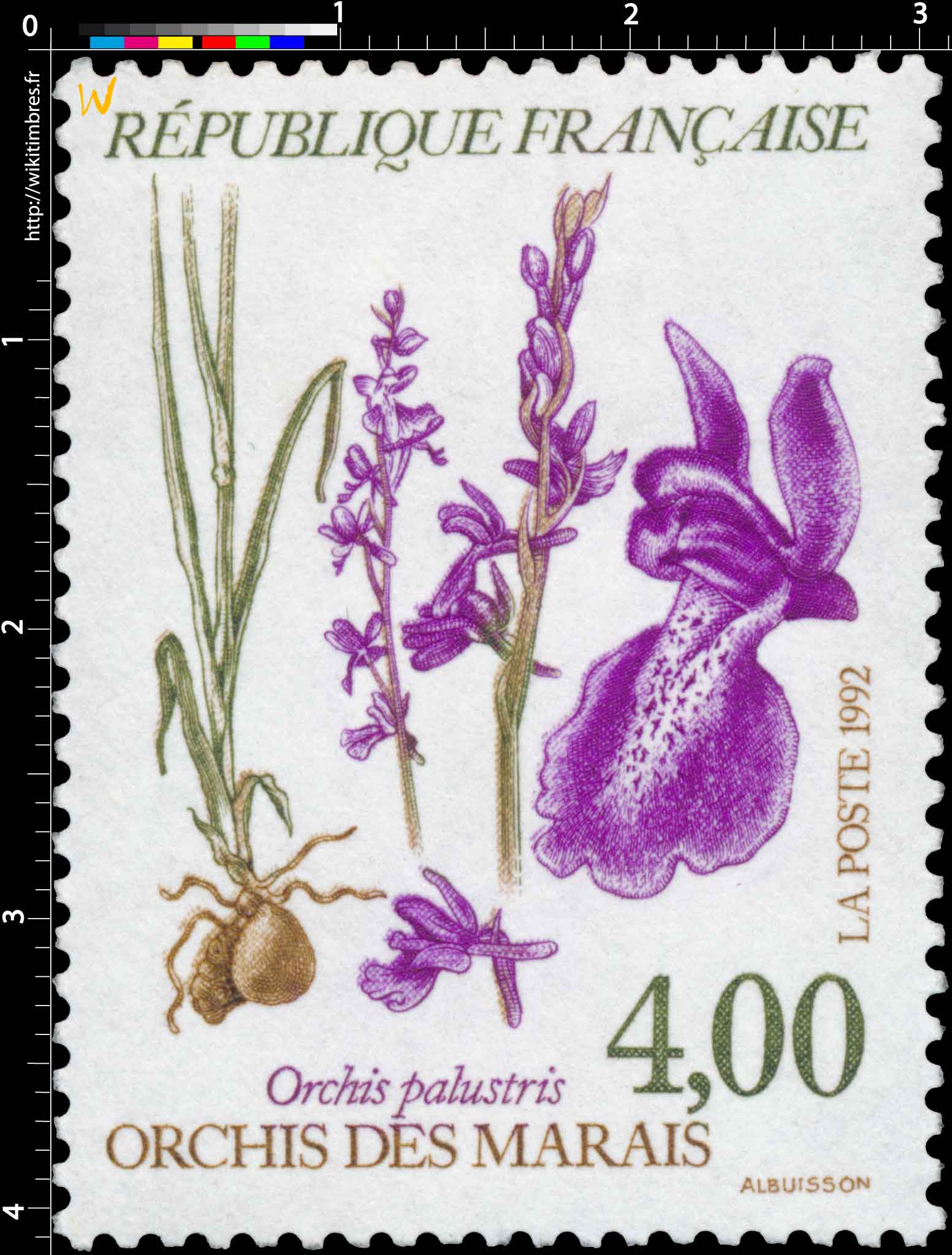 1992 ORCHIS DES MARAIS Orchis palustris