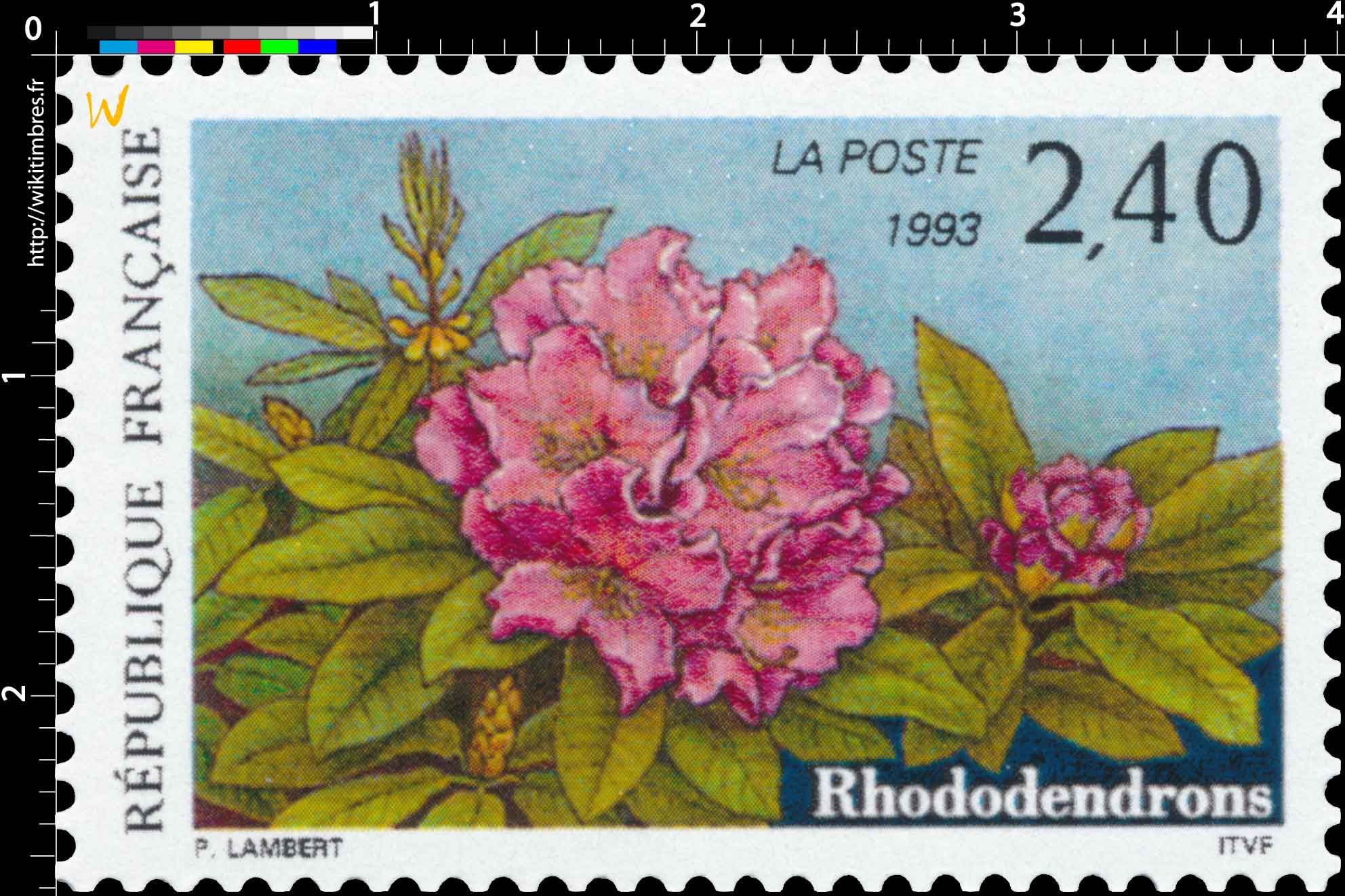 1993 Rhododendrons