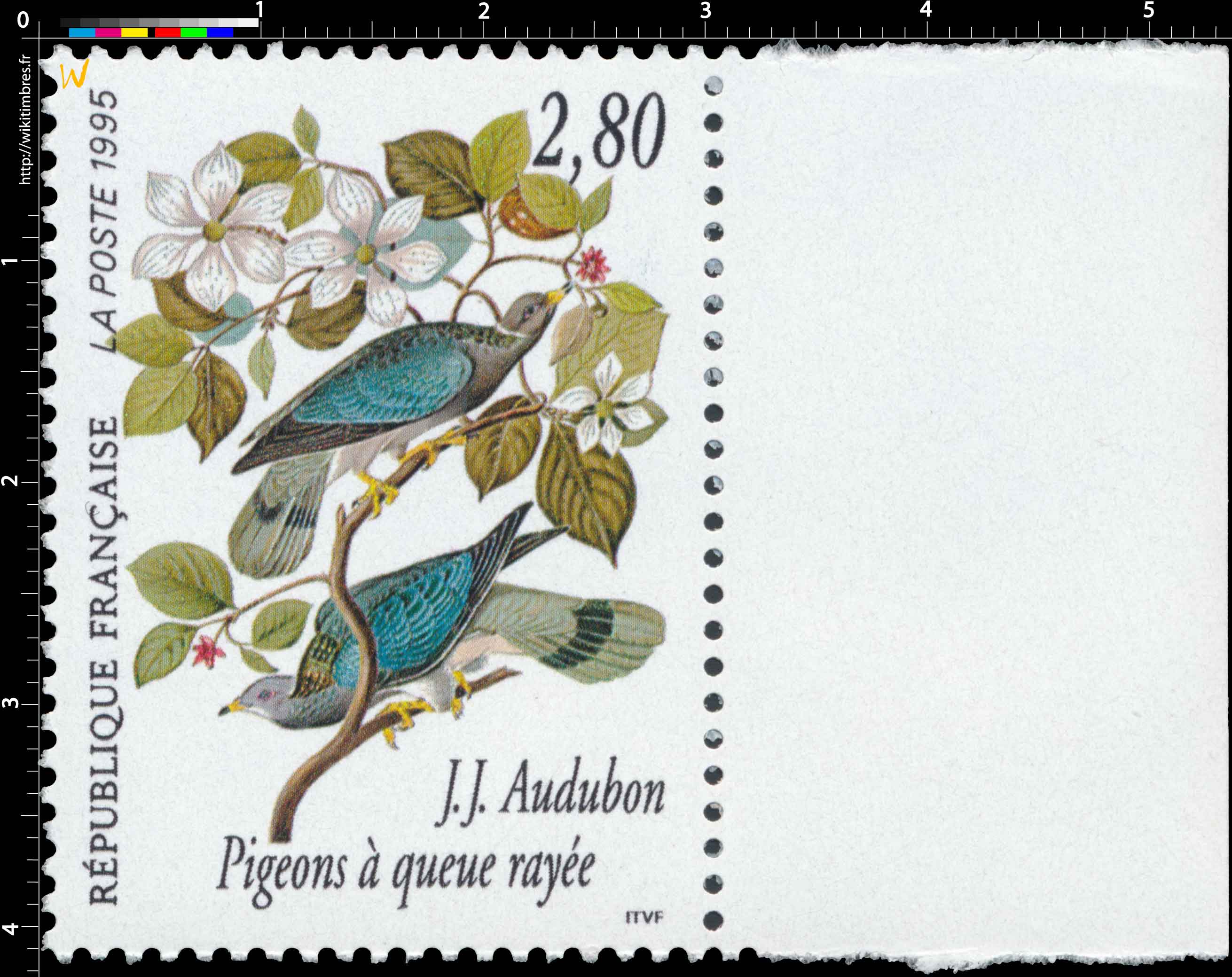 1995 J.J. Audubon Pigeons à queue rayée