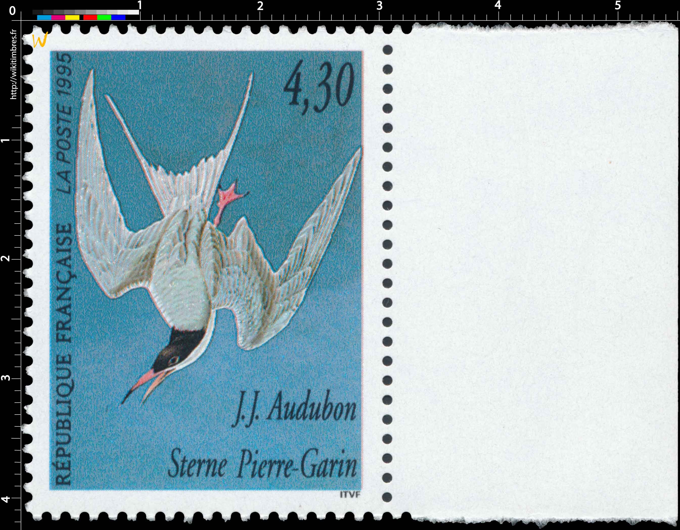 1995 J.J. Audubon Sterne Pierre-Garin