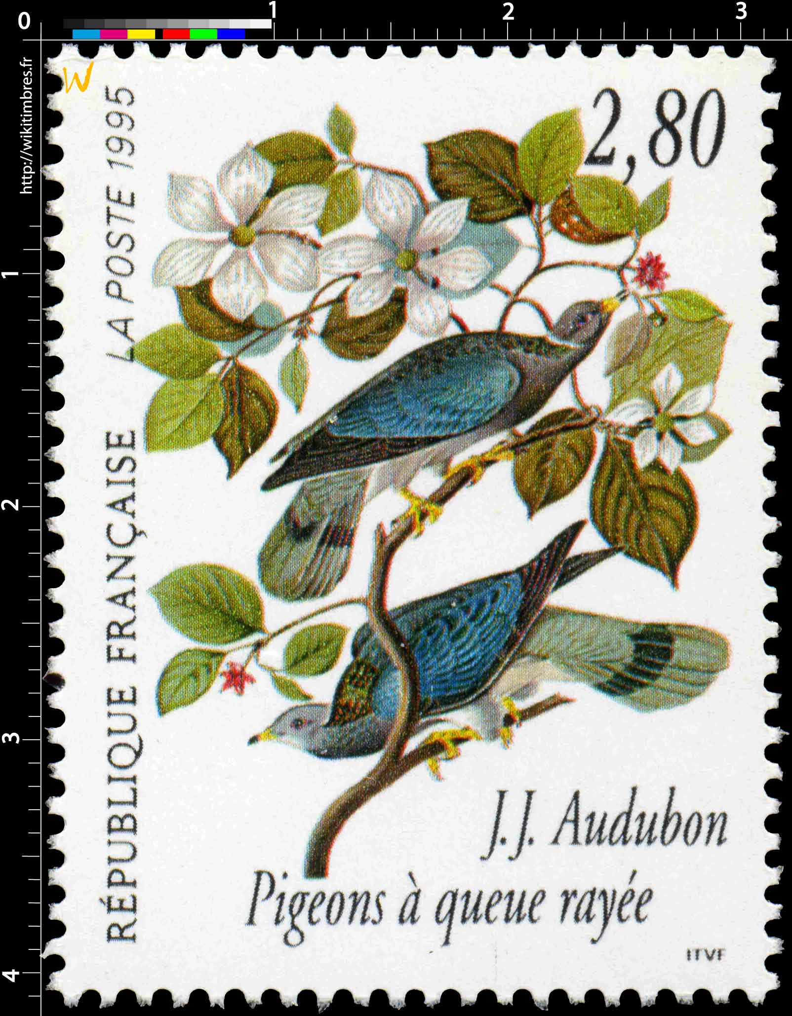 1995 J.J. Audubon Pigeons à queue rayée