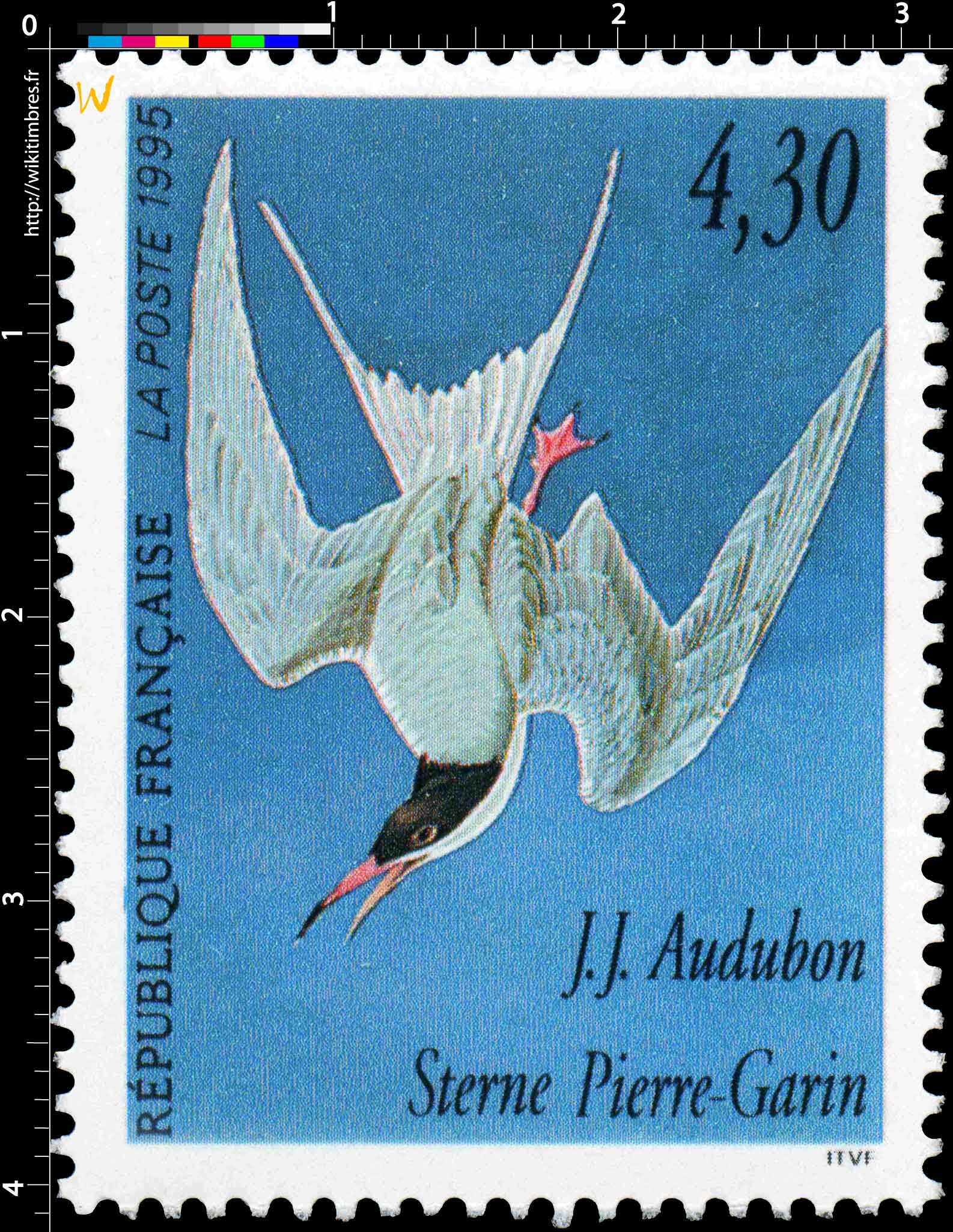 1995 J.J. Audubon Sterne Pierre-Garin