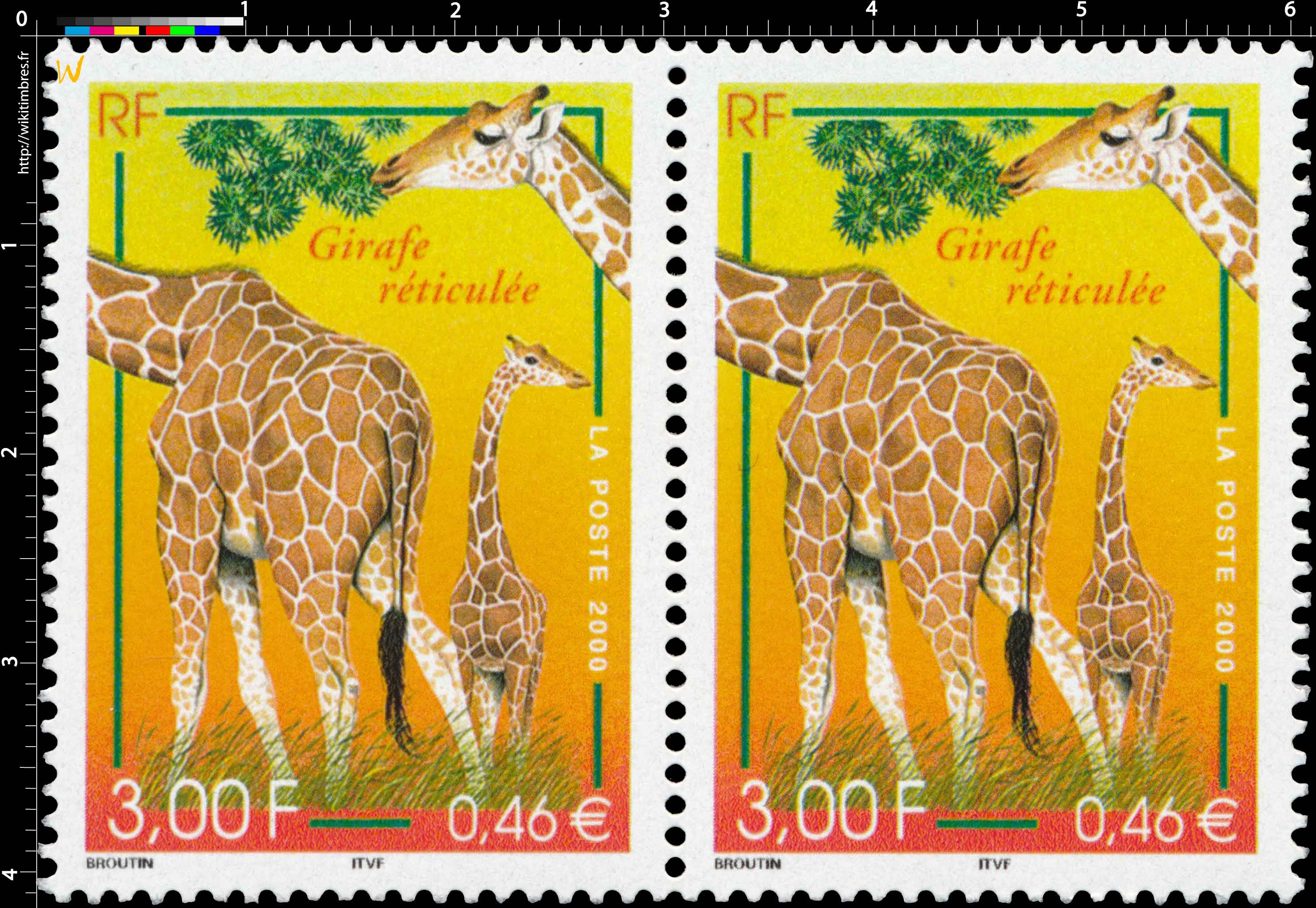2000 Girafe réticulée