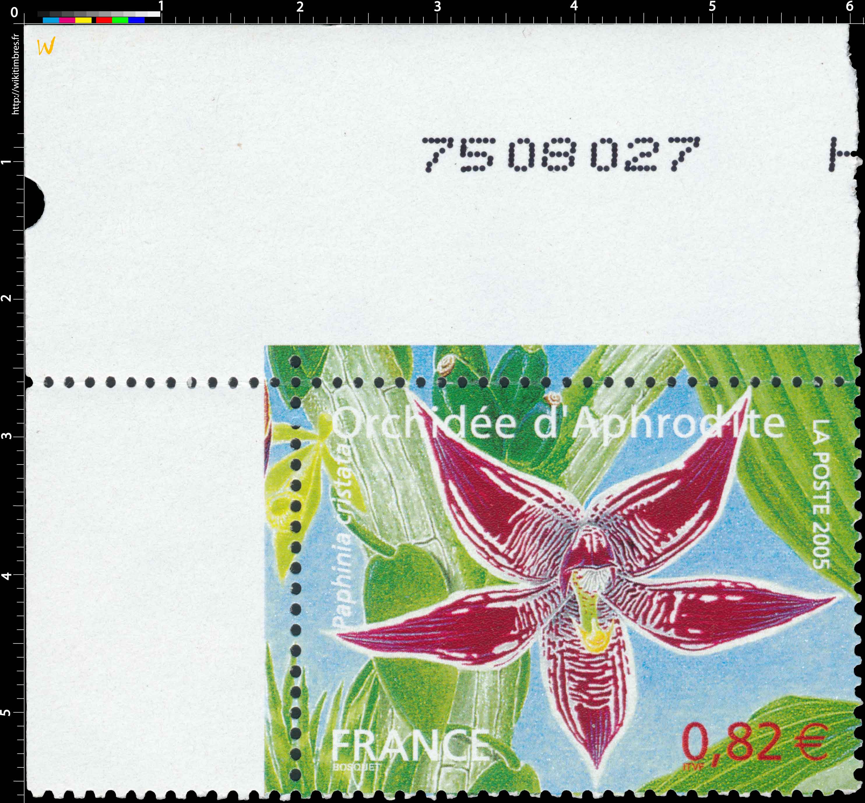 2005 Orchidée d'Aphrodite Paphinia cristata