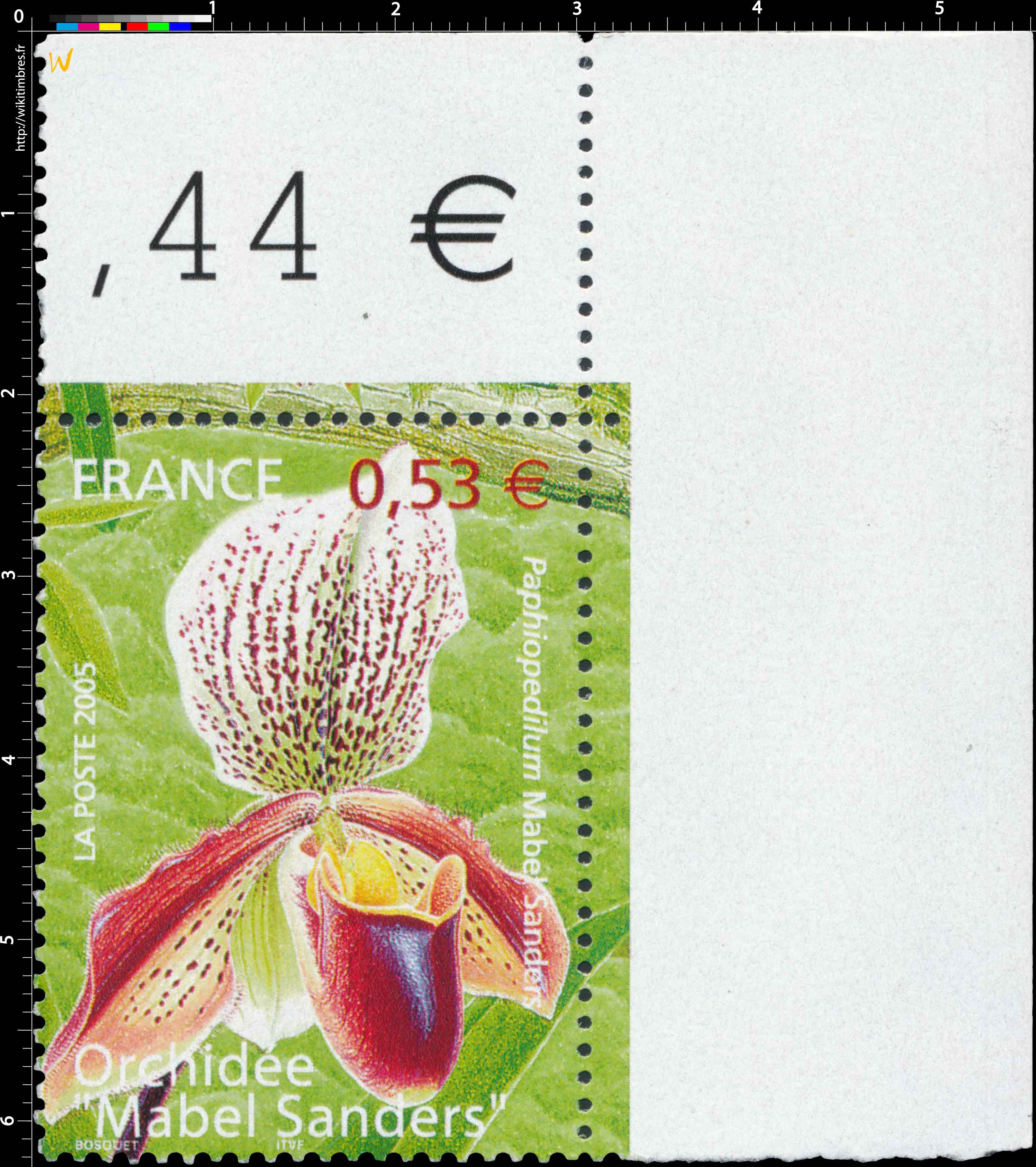 2005 Orchidée Mabel Sanders Paphiopedilum Mabel Sanders