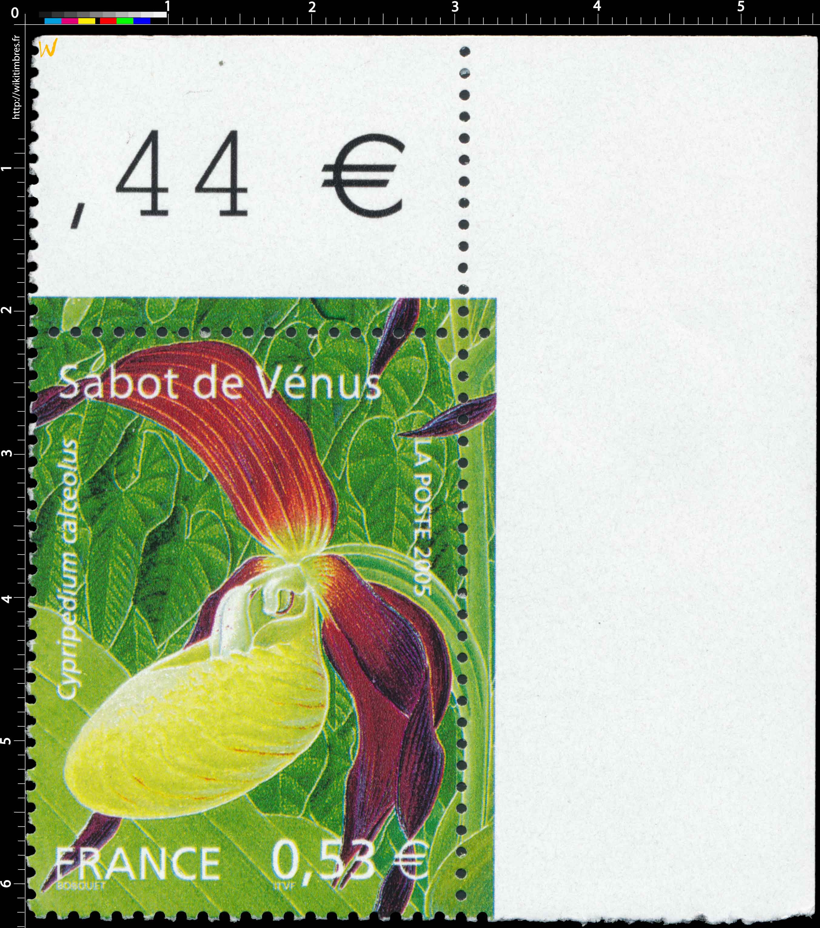 2005 Sabot de Vénus Cypripedium calceolus