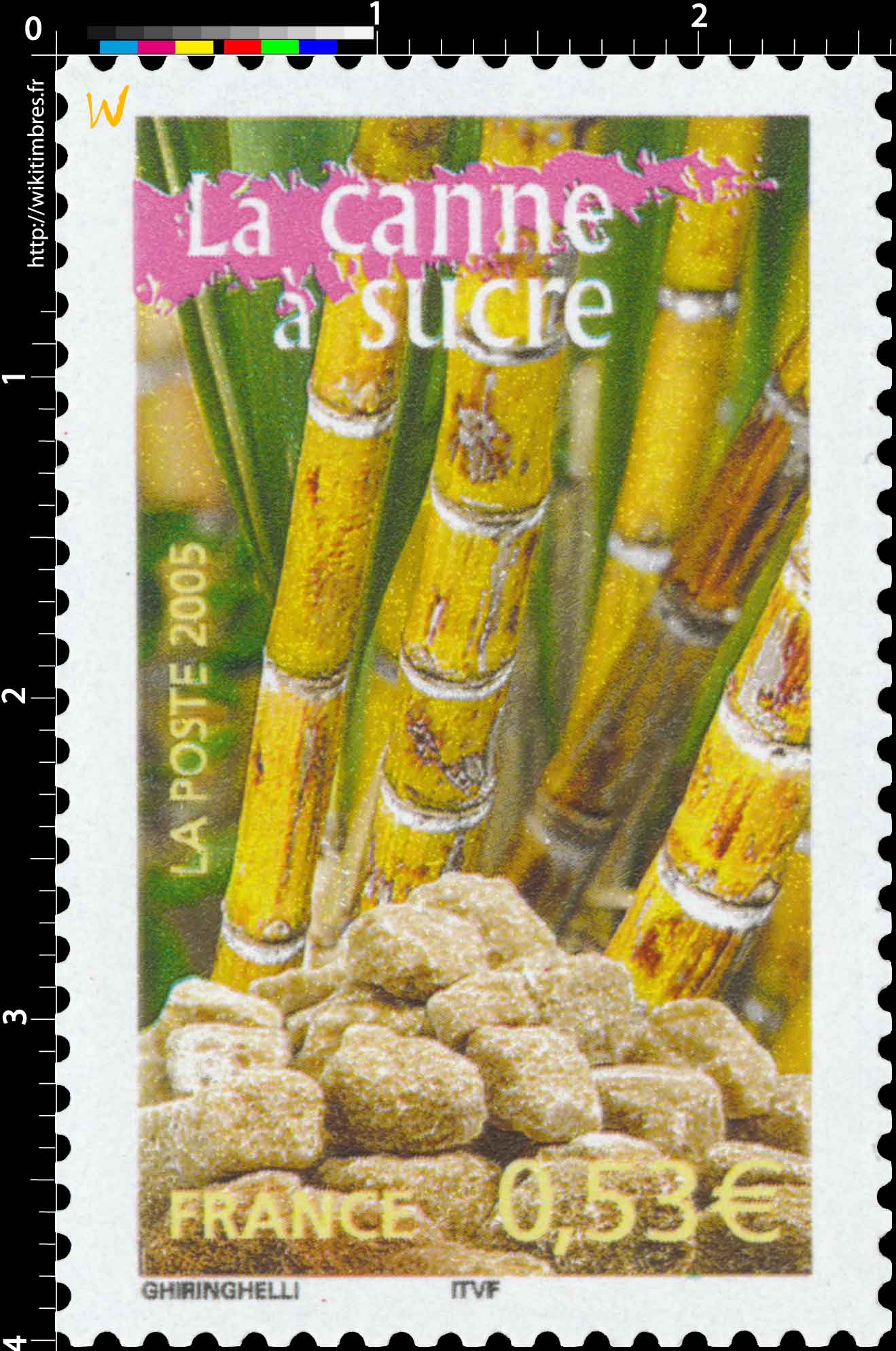 2005 La canne à sucre