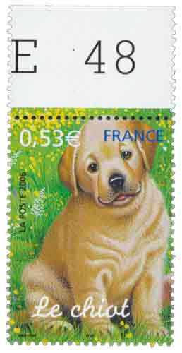2006 Le chiot