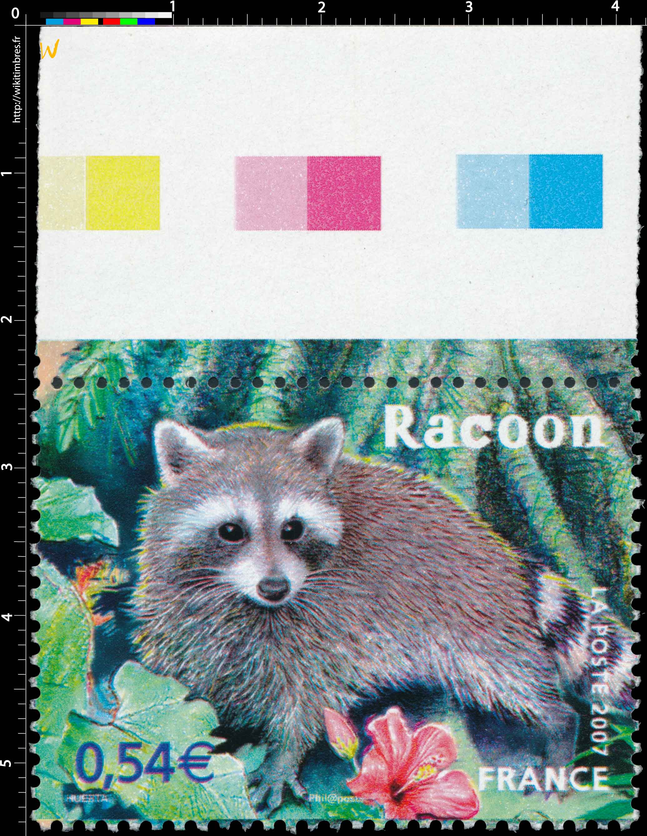 2007 Racoon
