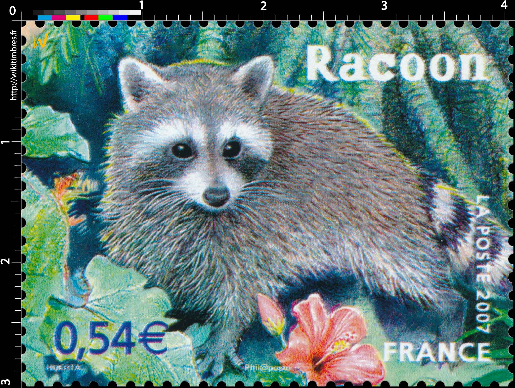 2007 Racoon