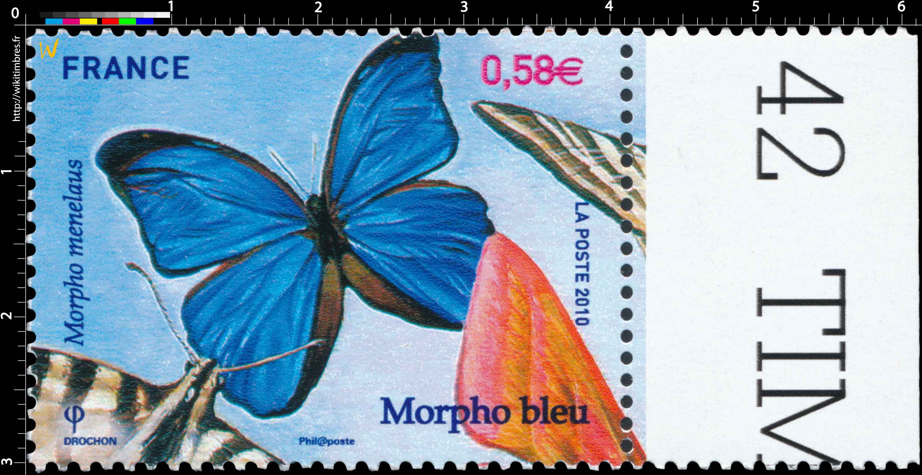 2010 Morpho bleu - Morpho menelaus
