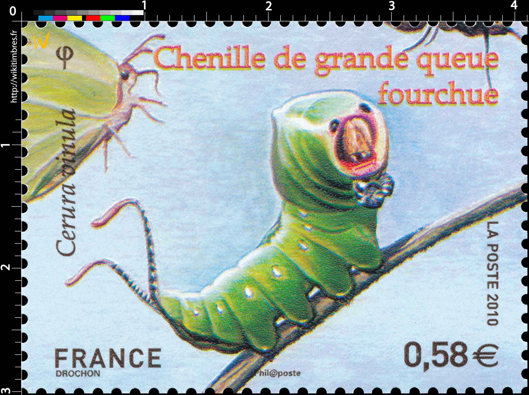 2010 Chenille de grande queue fourchue Cerura vinula