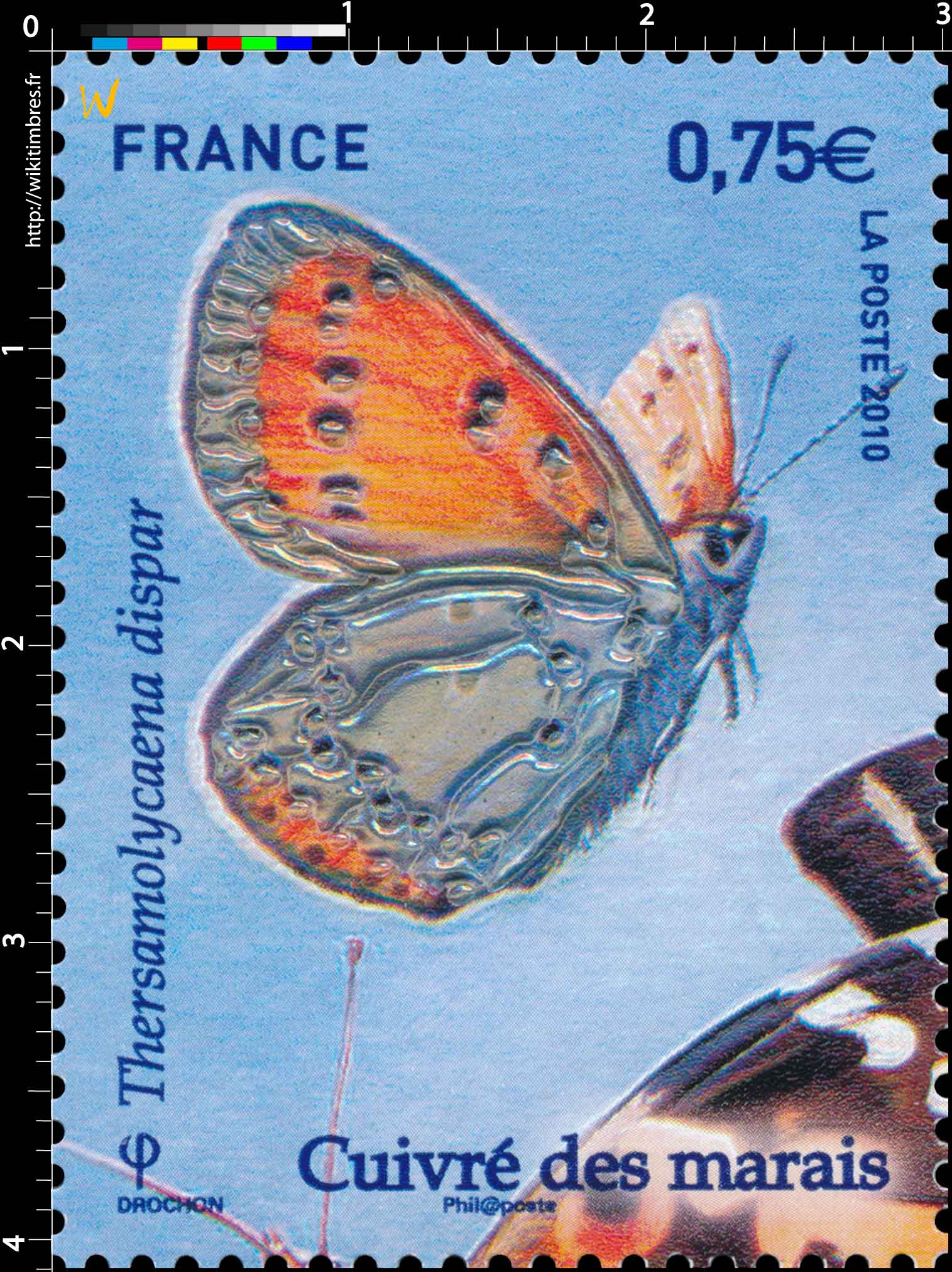 2010 Cuivré des marais Thersamolycaena dispar