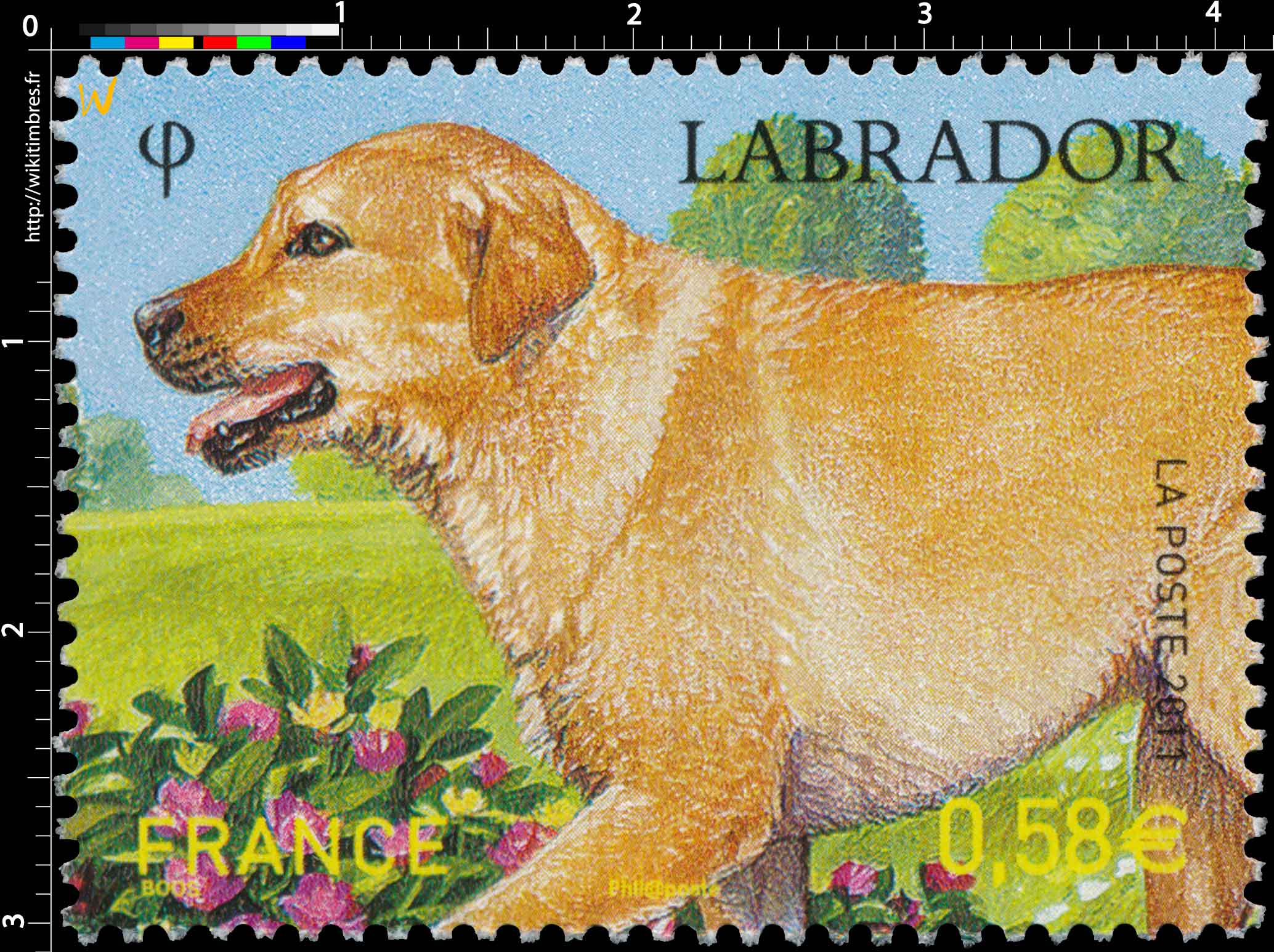 2011 LABRADOR