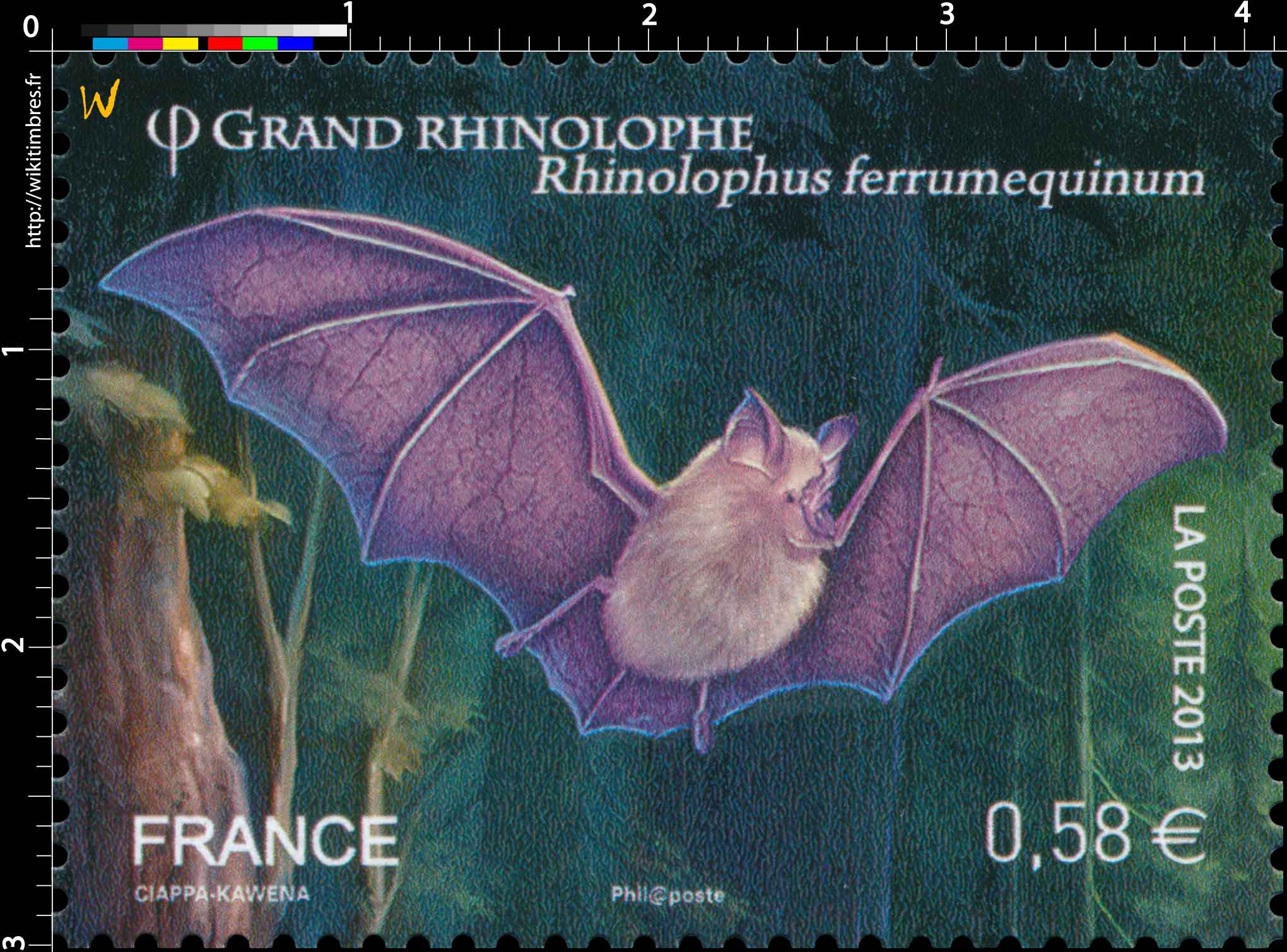 2013 Grand Rhinolophe Rhinolophus ferrumequinum