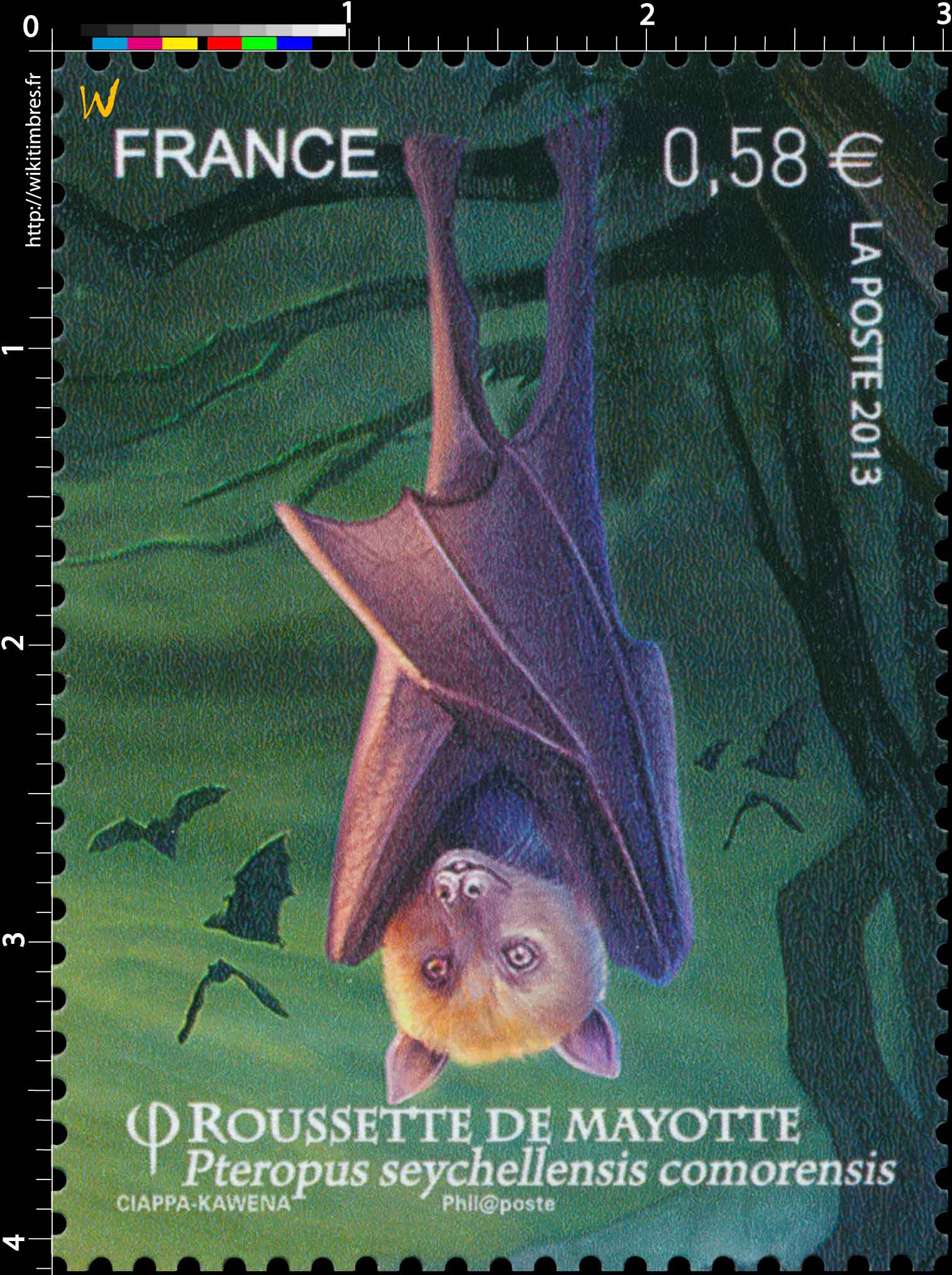 2013 Roussette de Mayotte Pteropus seychellensis comorensis
