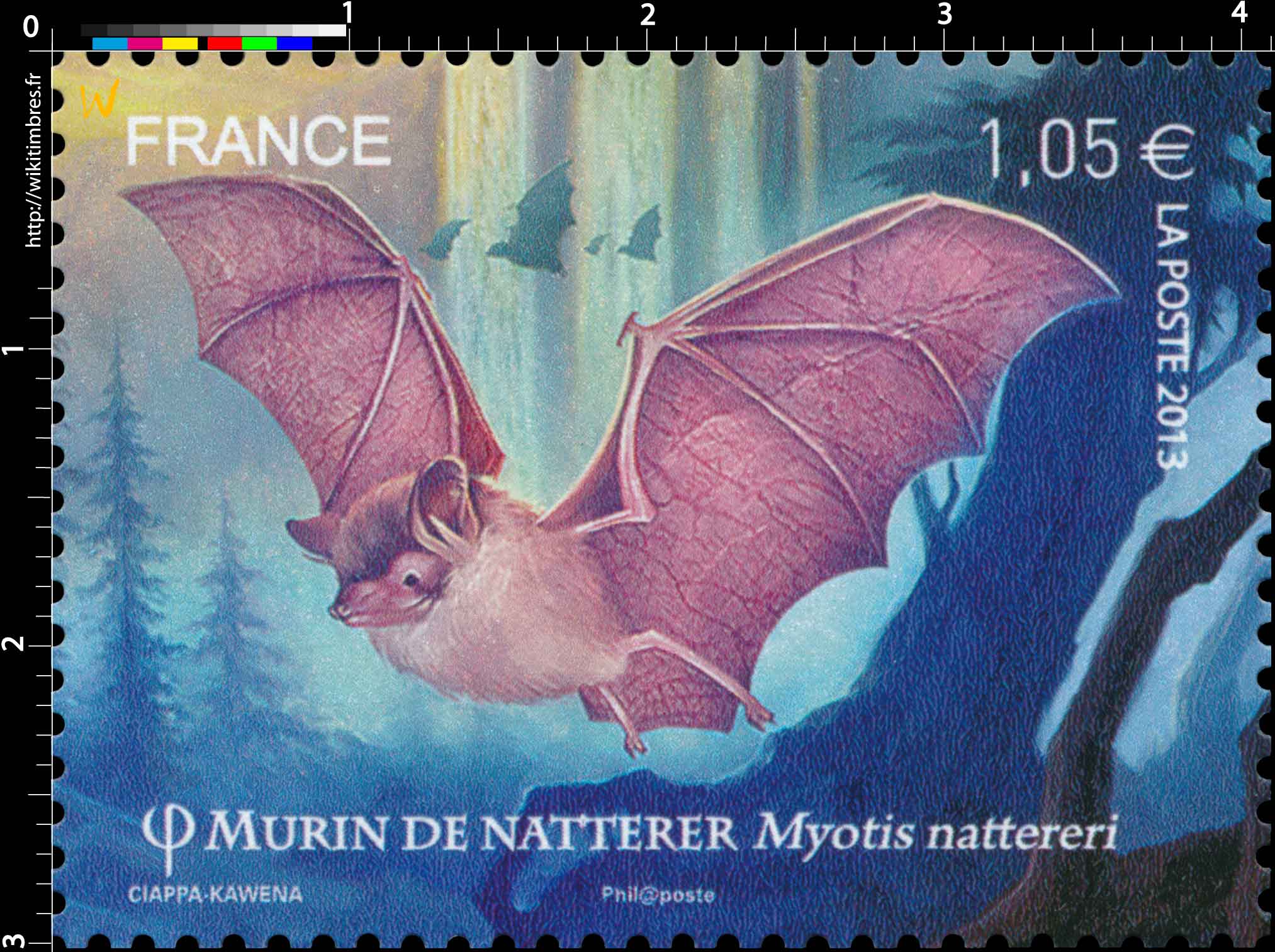 2013 Murin de natterer Myotis nattereri