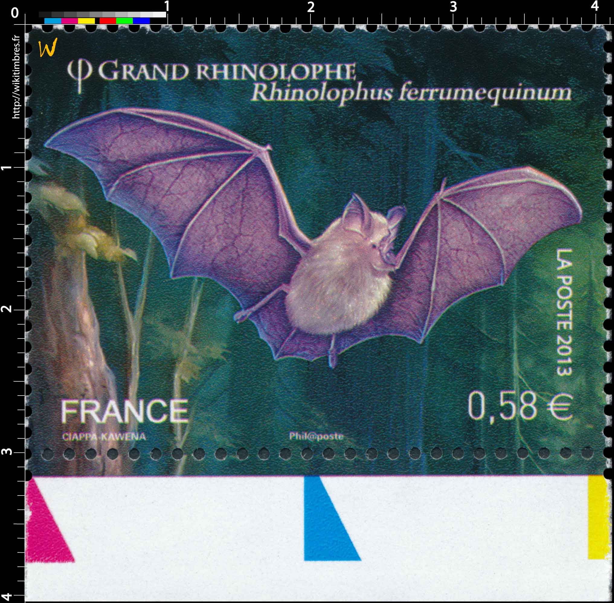 2013 Grand Rhinolophe Rhinolophus ferrumequinum