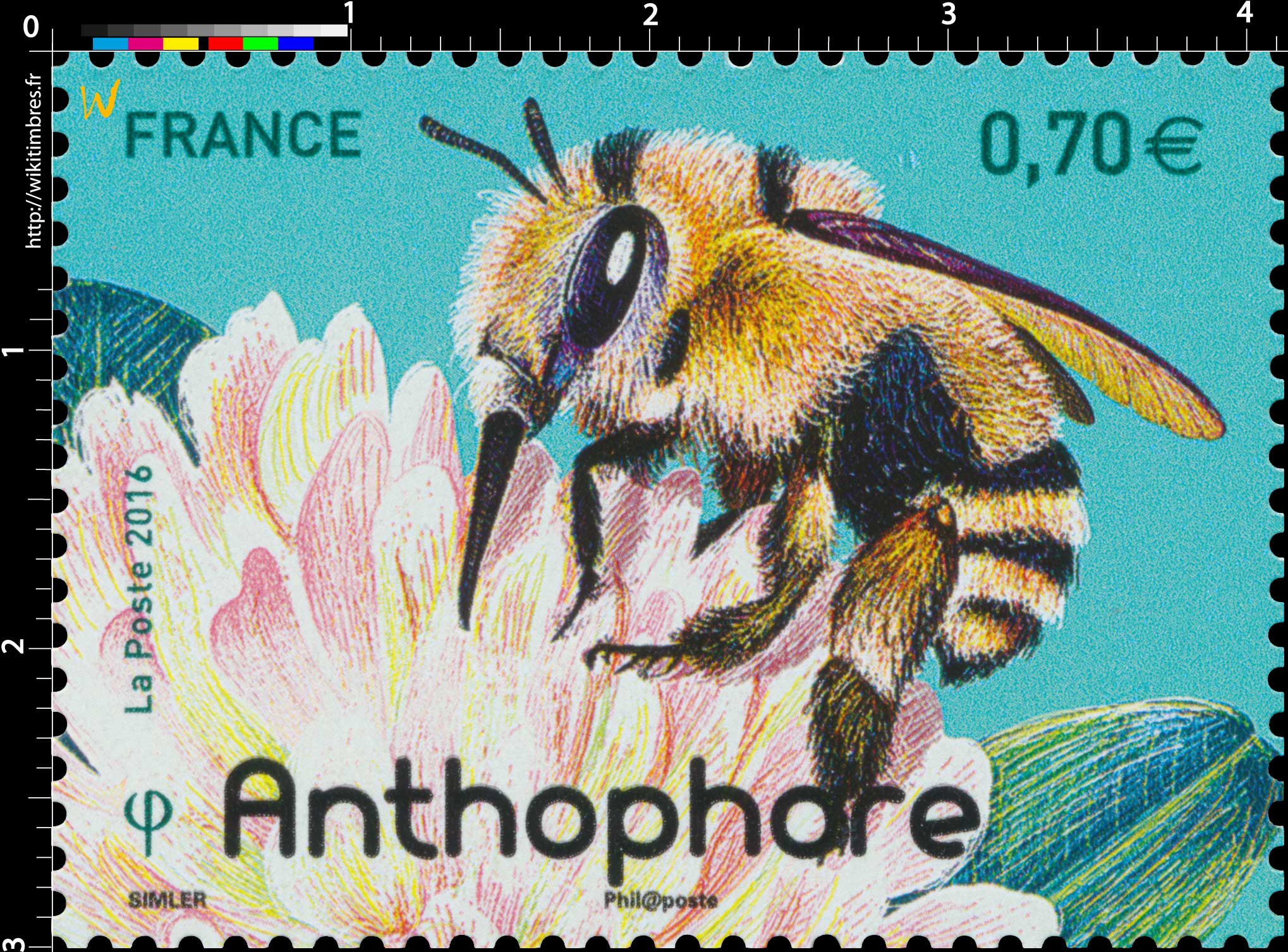 2016 Anthophore