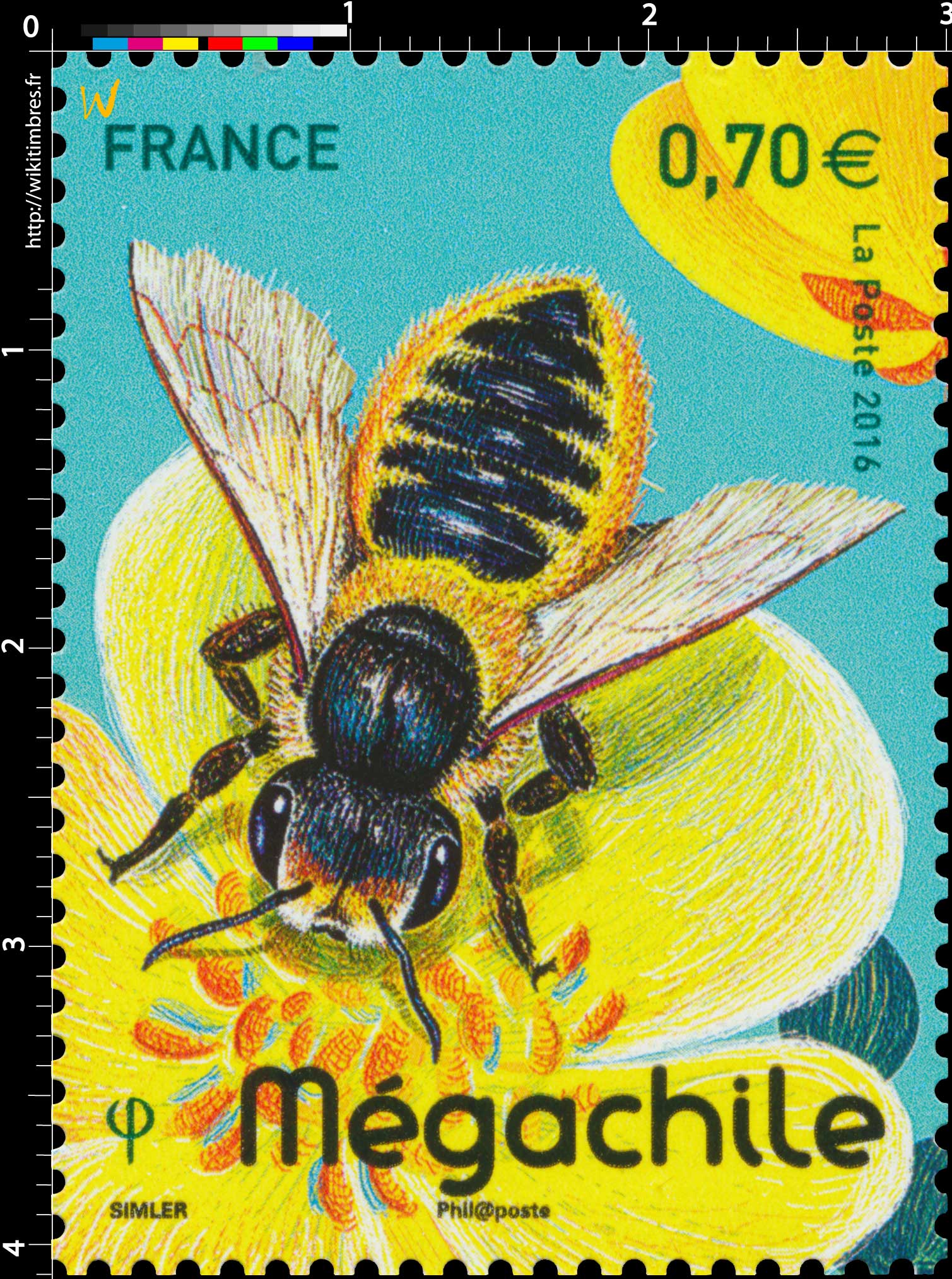 2016 Mégachile