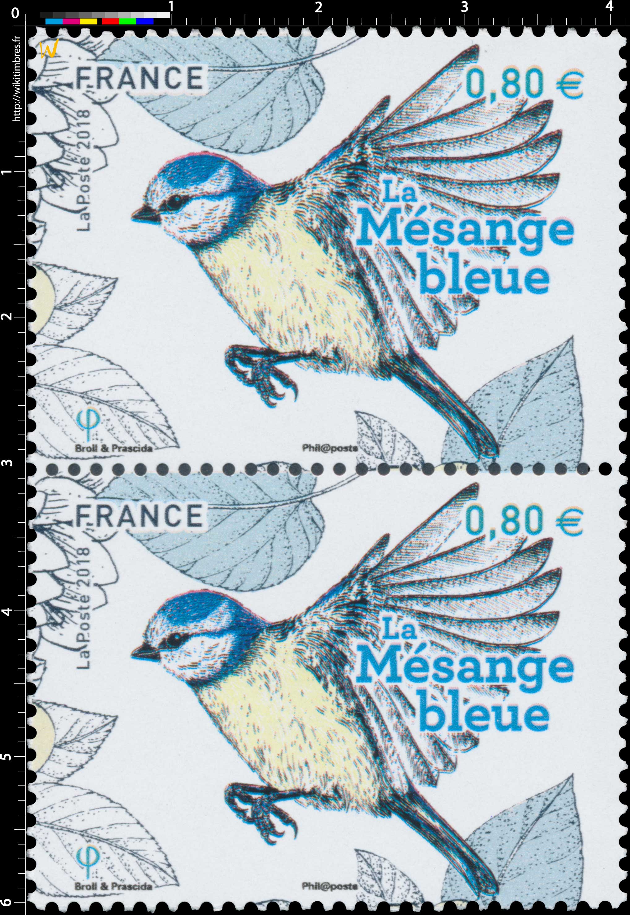 2018 La mésange bleue
