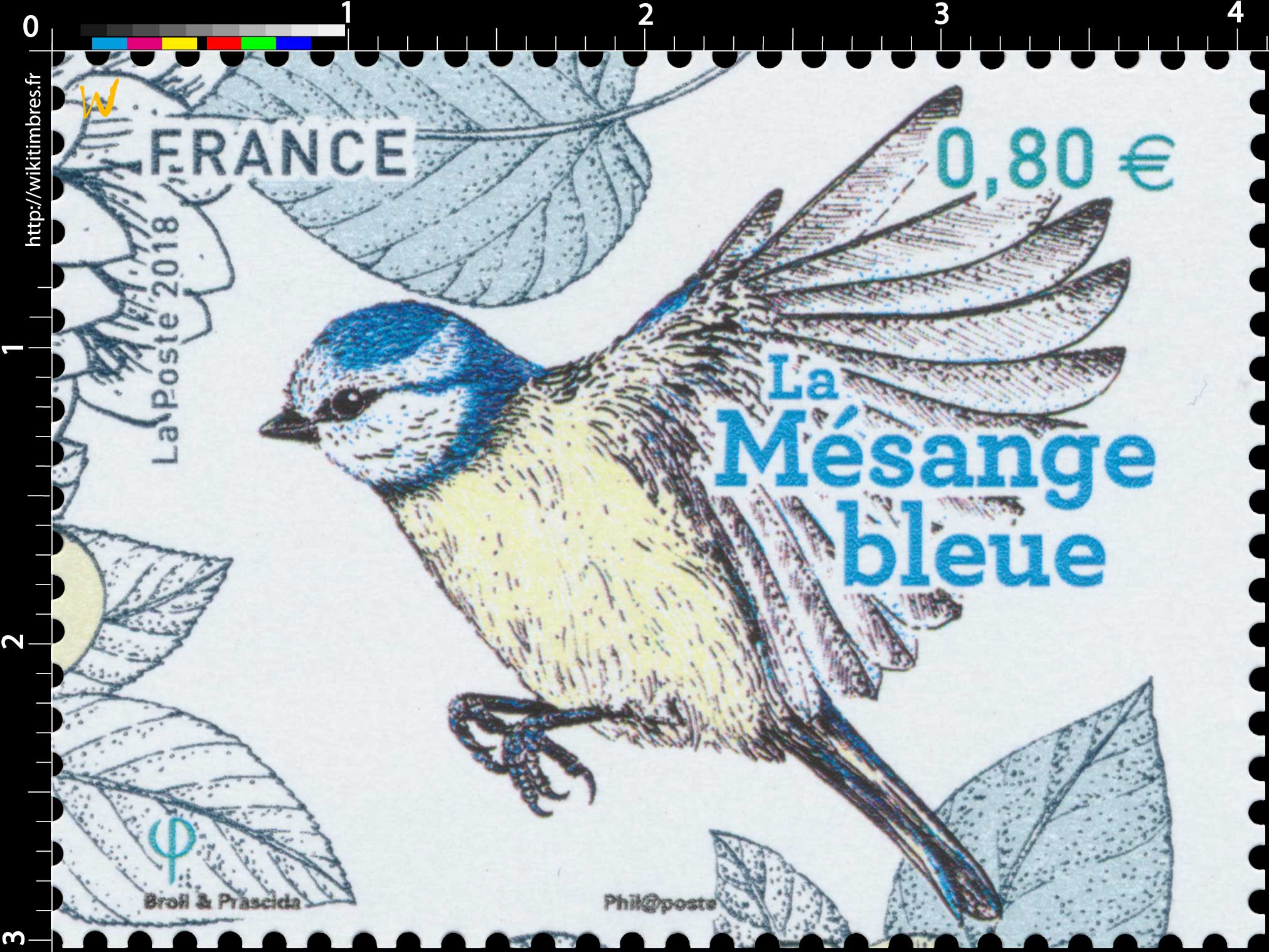 2018 La mésange bleue