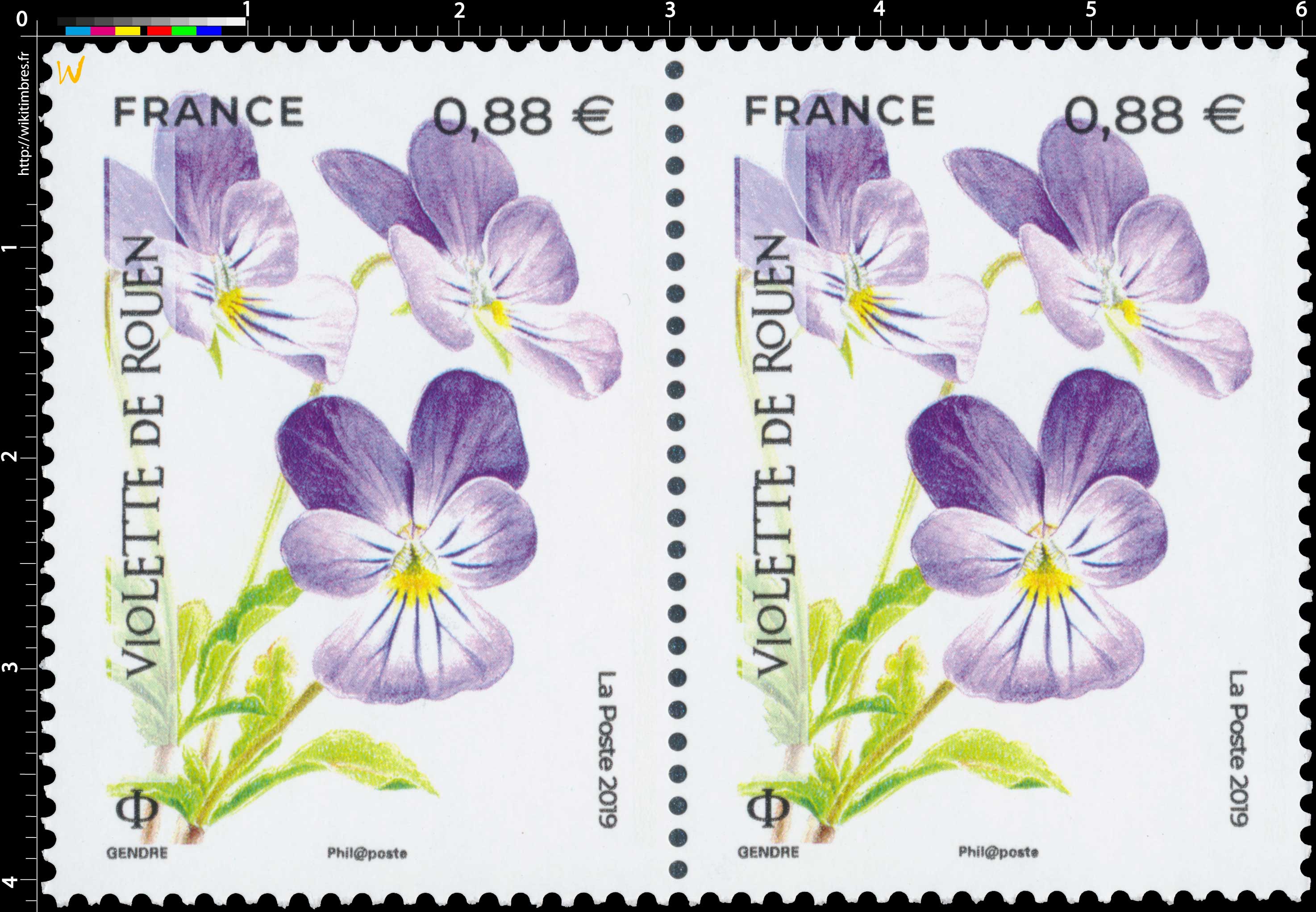 2019 Violette de Rouen