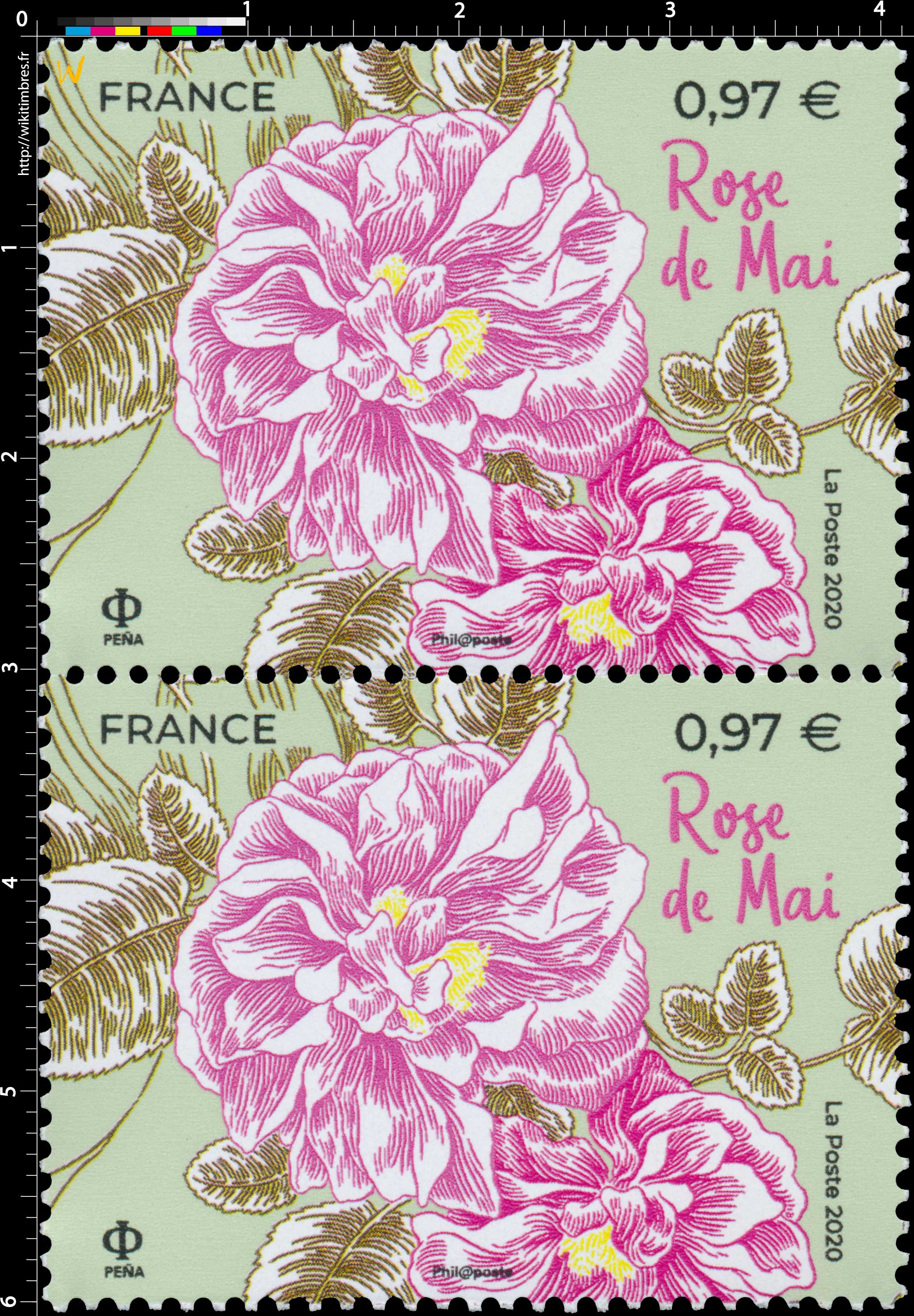 2020 Rose de Mai