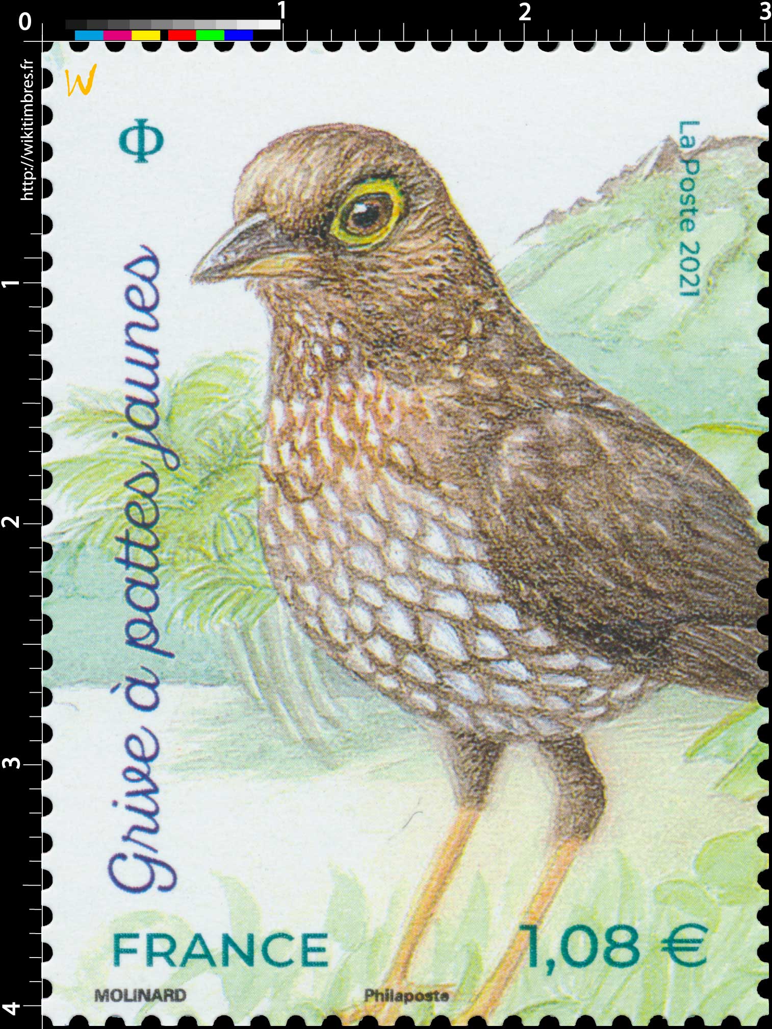 2021 Grive à pattes jaunes