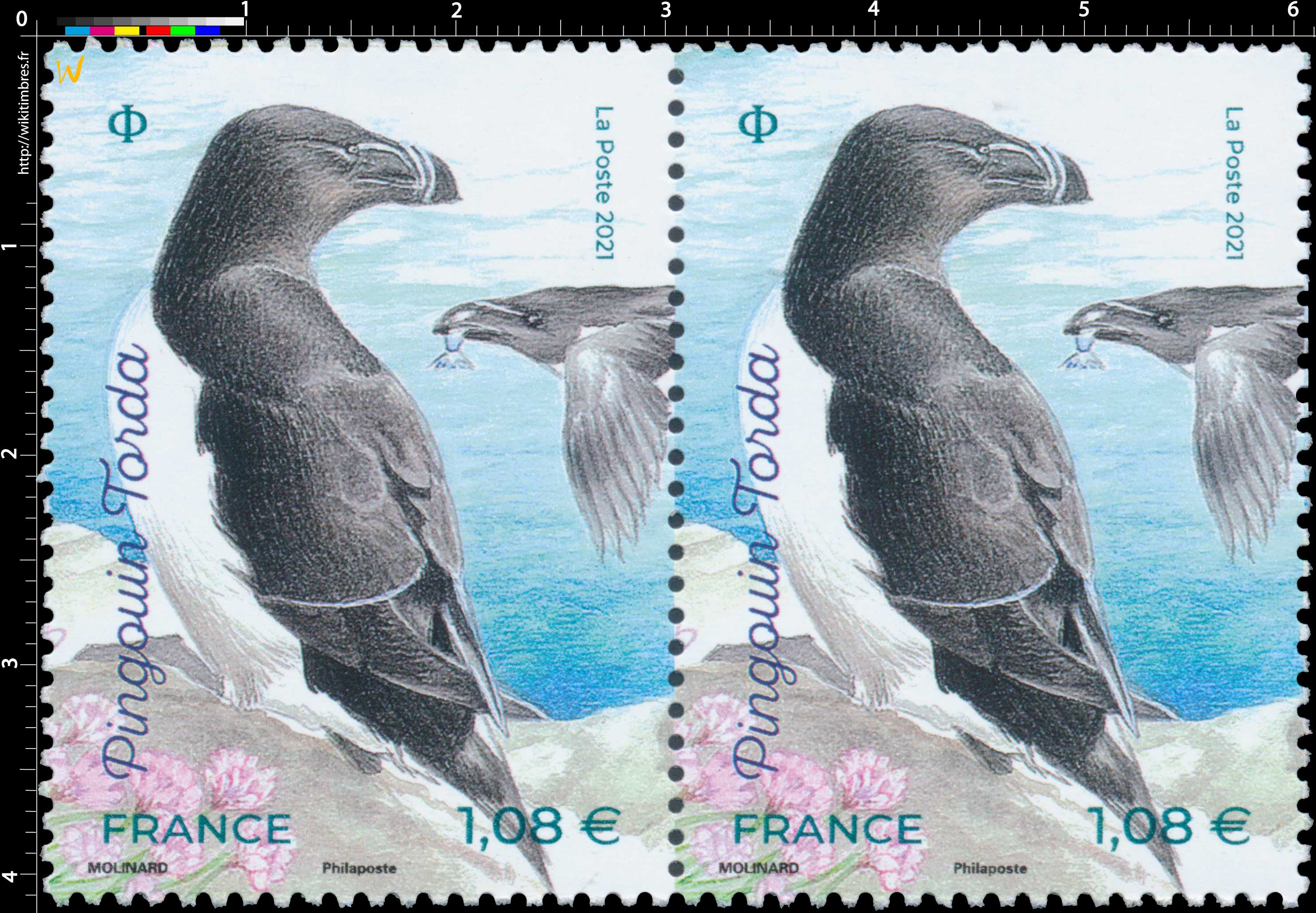 2021 Pingouin Torda