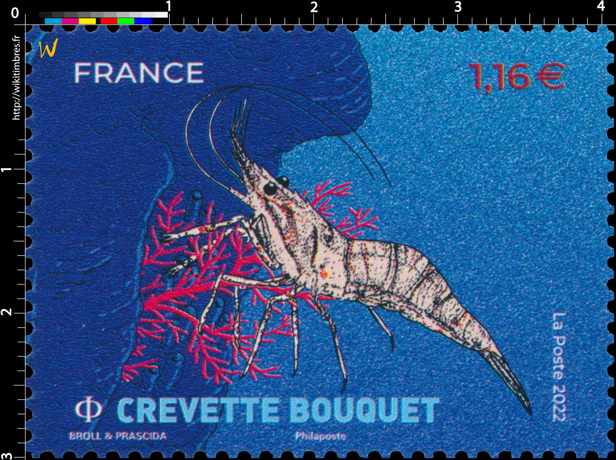 2022 Crevette Bouquet