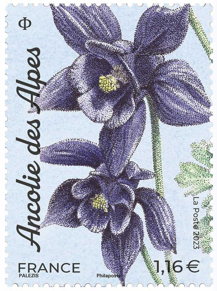 2023 Ancolie des Alpes