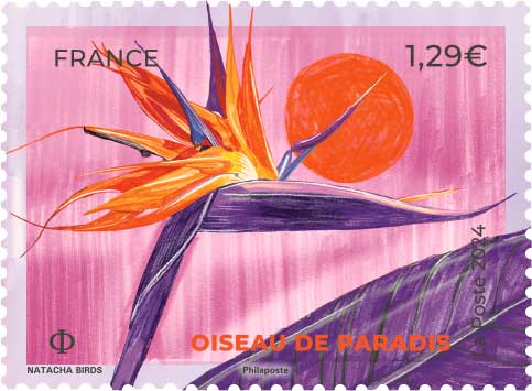 2024 Oiseau de paradis