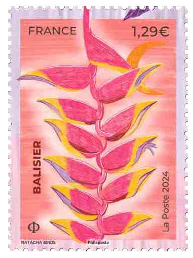 2024 Balisier