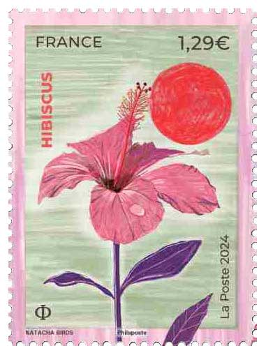 2024 Hibiscus