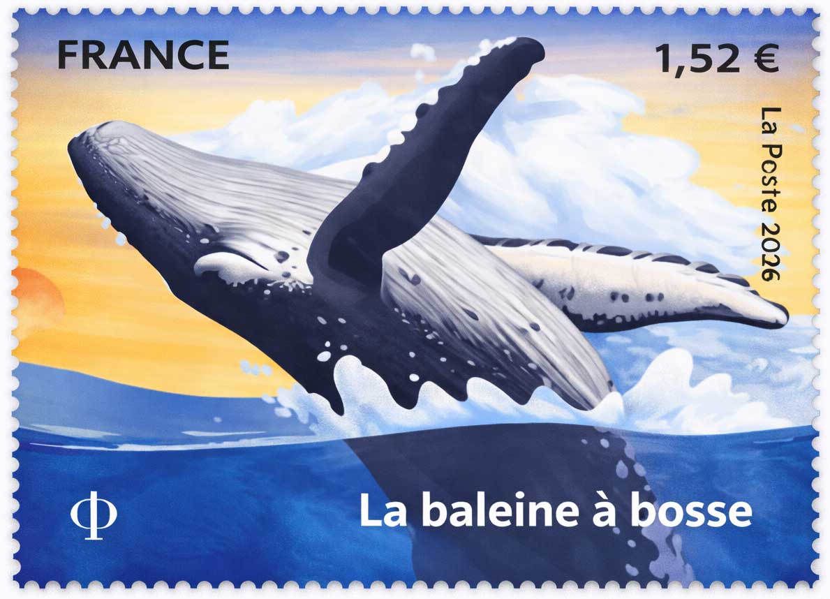 2026 La baleine à bosse