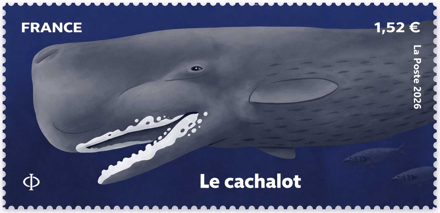 2026 Le cachalot