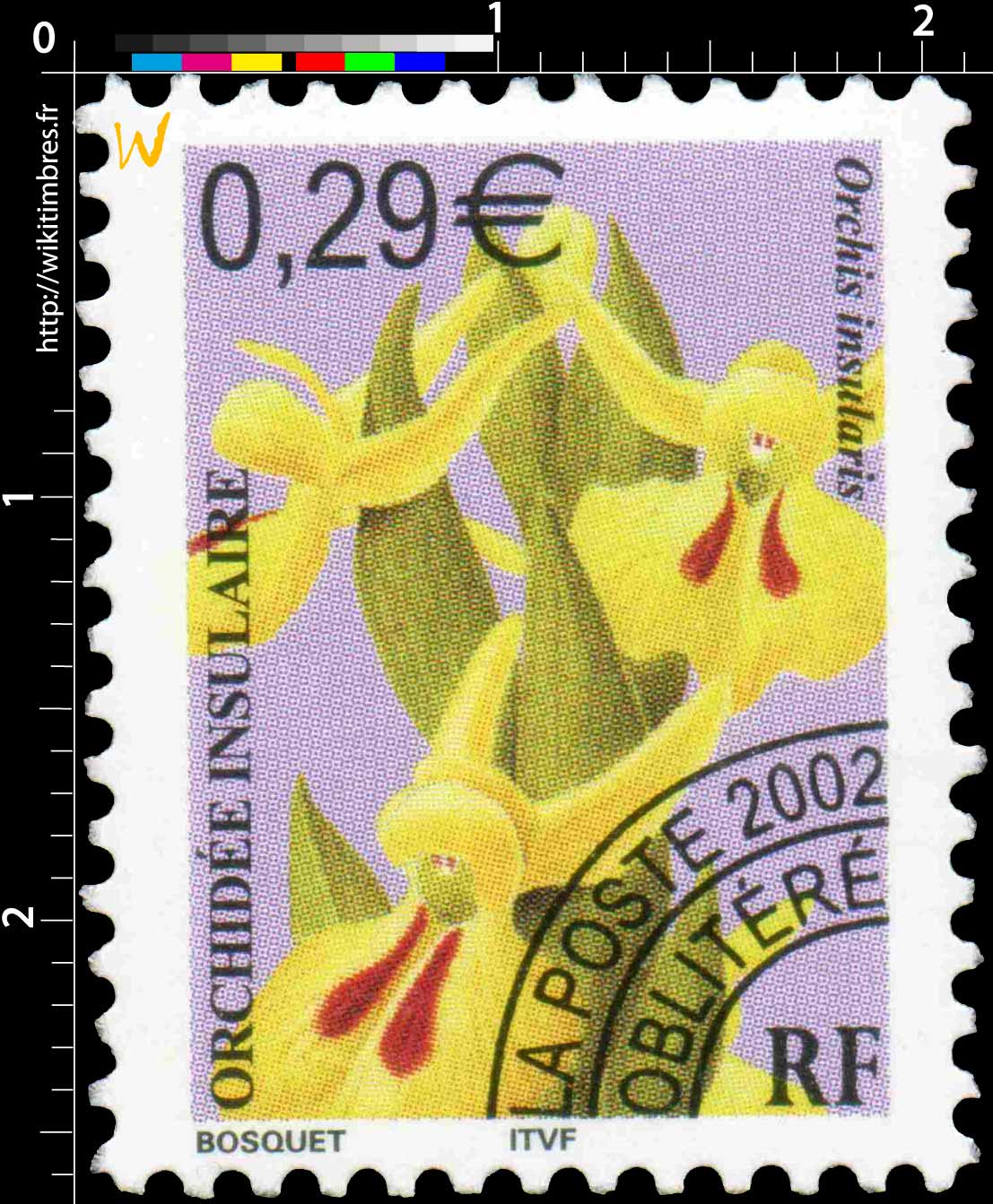 2002 ORCHIDÉE INSULAIRE Orchis insularis