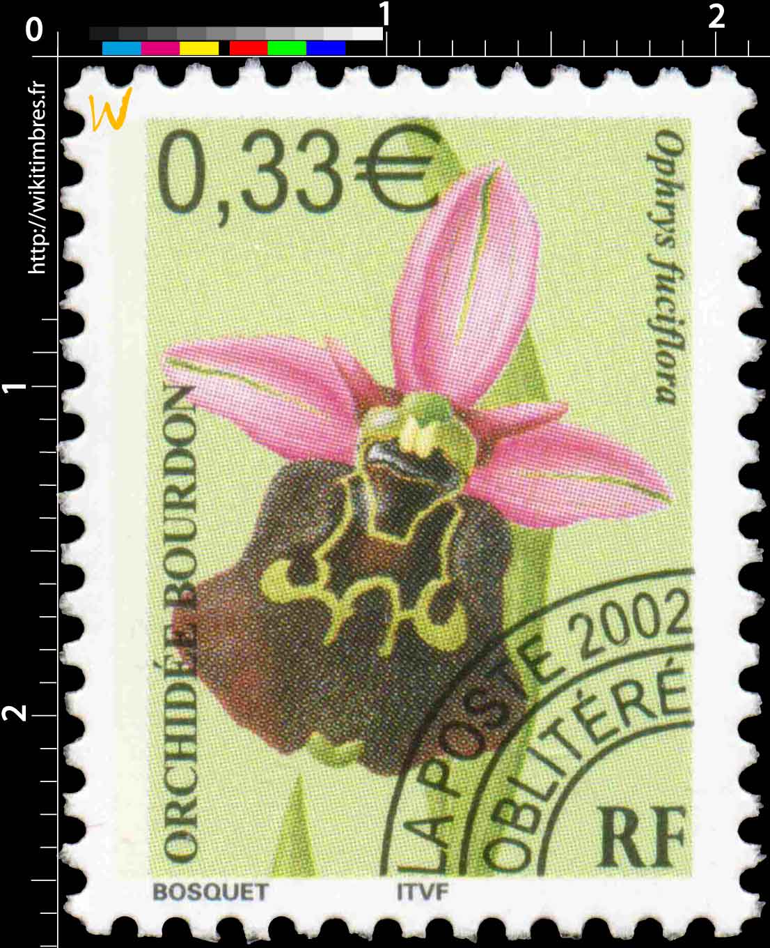 2002 ORCHIDÉE BOURDON Ophrys fuciflora