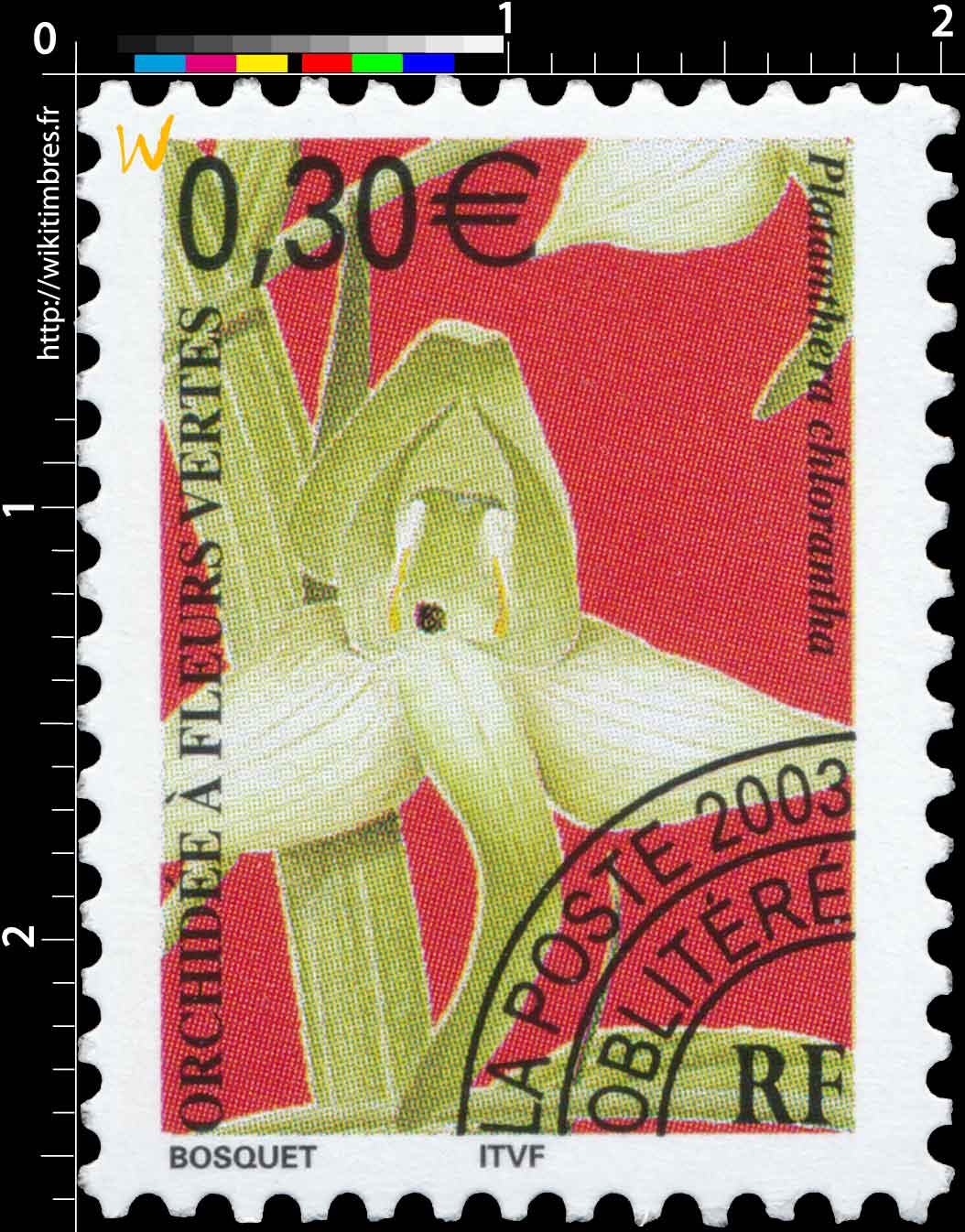 2003 ORCHIDÉE À FLEURS VERTES Platanthera chlorantha