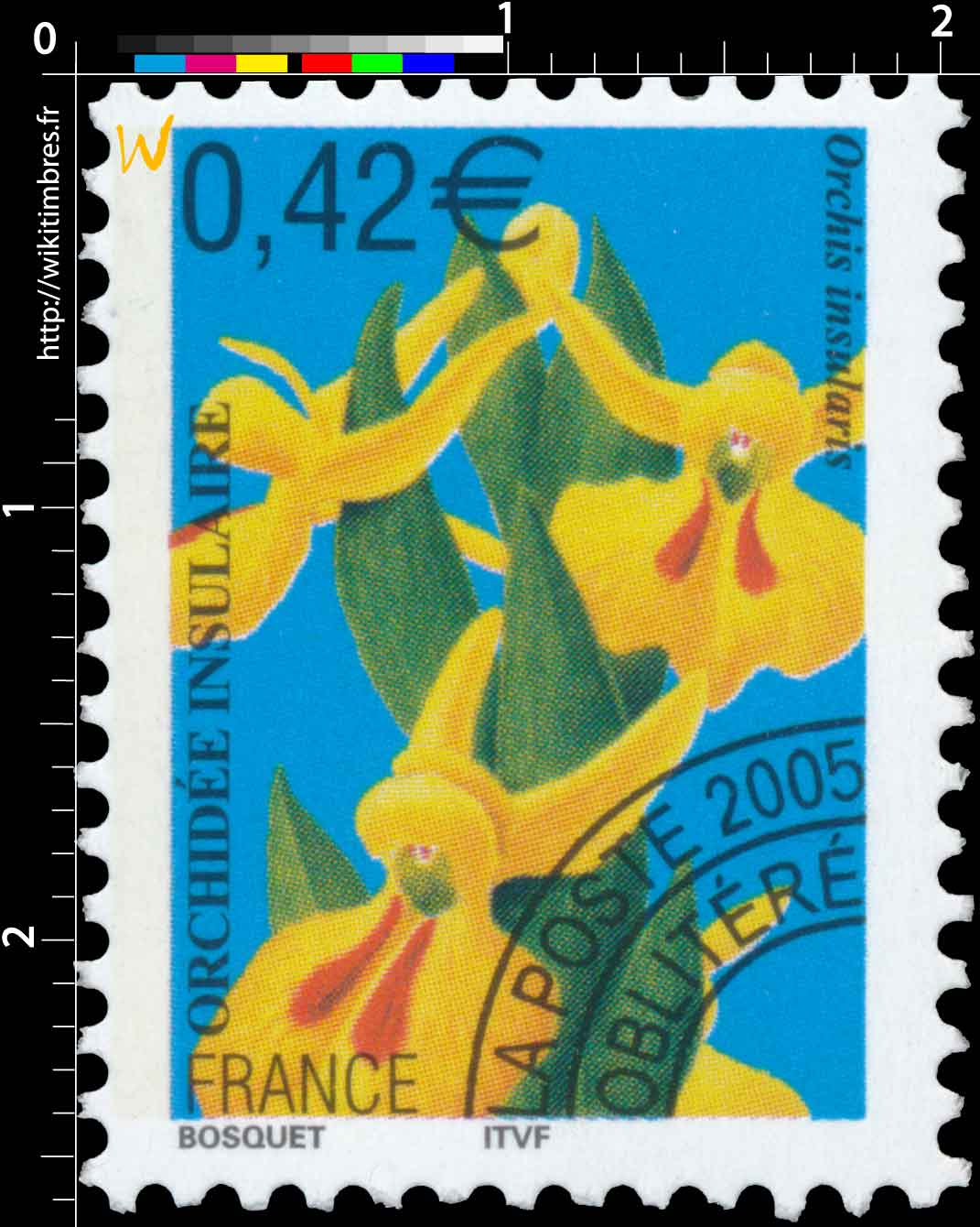 2005 ORCHIDÉE INSULAIRE Orchis insularis