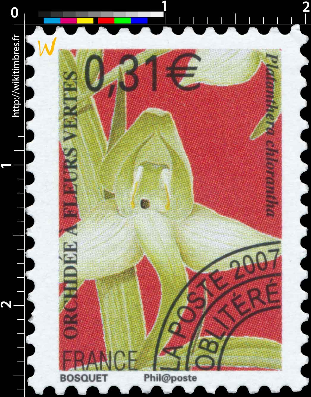 2007 ORCHIDÉE À FLEURS VERTES Platanthera chlorantha
