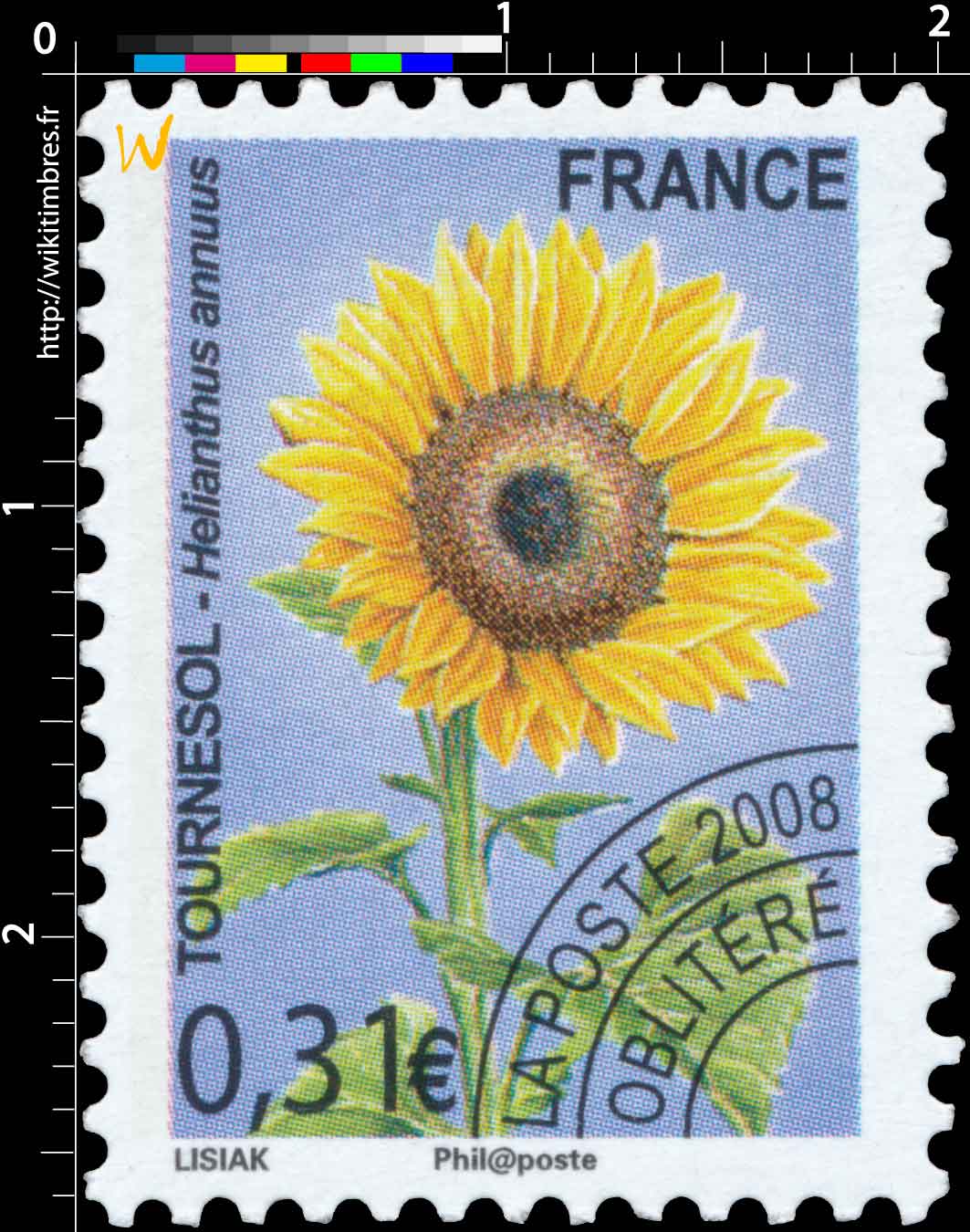 2008 TOURNESOL – Helianthus annuus