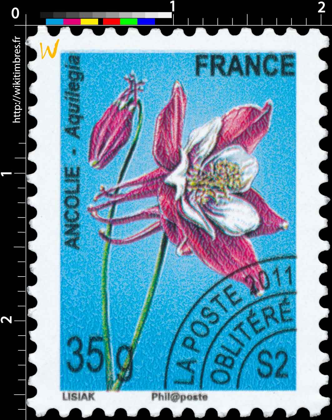 2011 ANCOLIE - Aquilegia